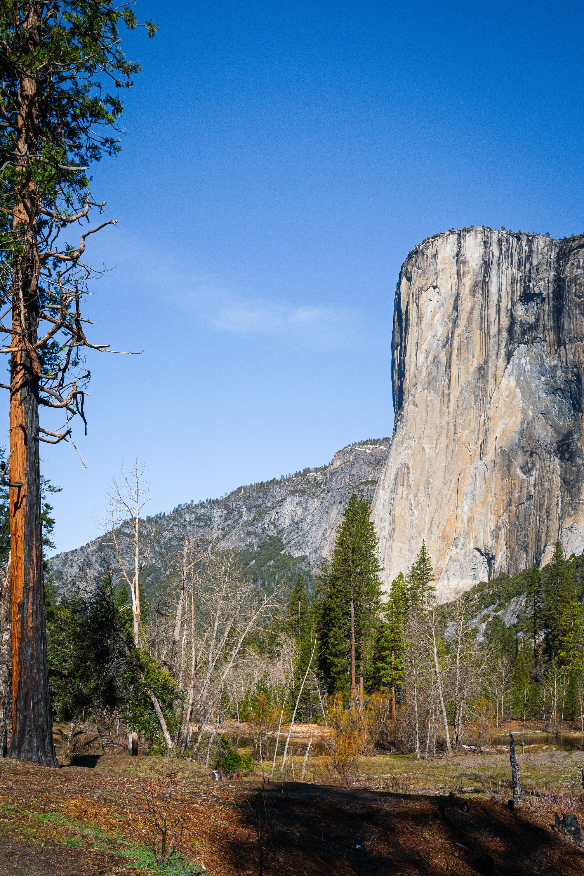 El Capitan, rising over 3,000 feet above the floor of Yosemite Valley, is a favorite for experienced rock climbers