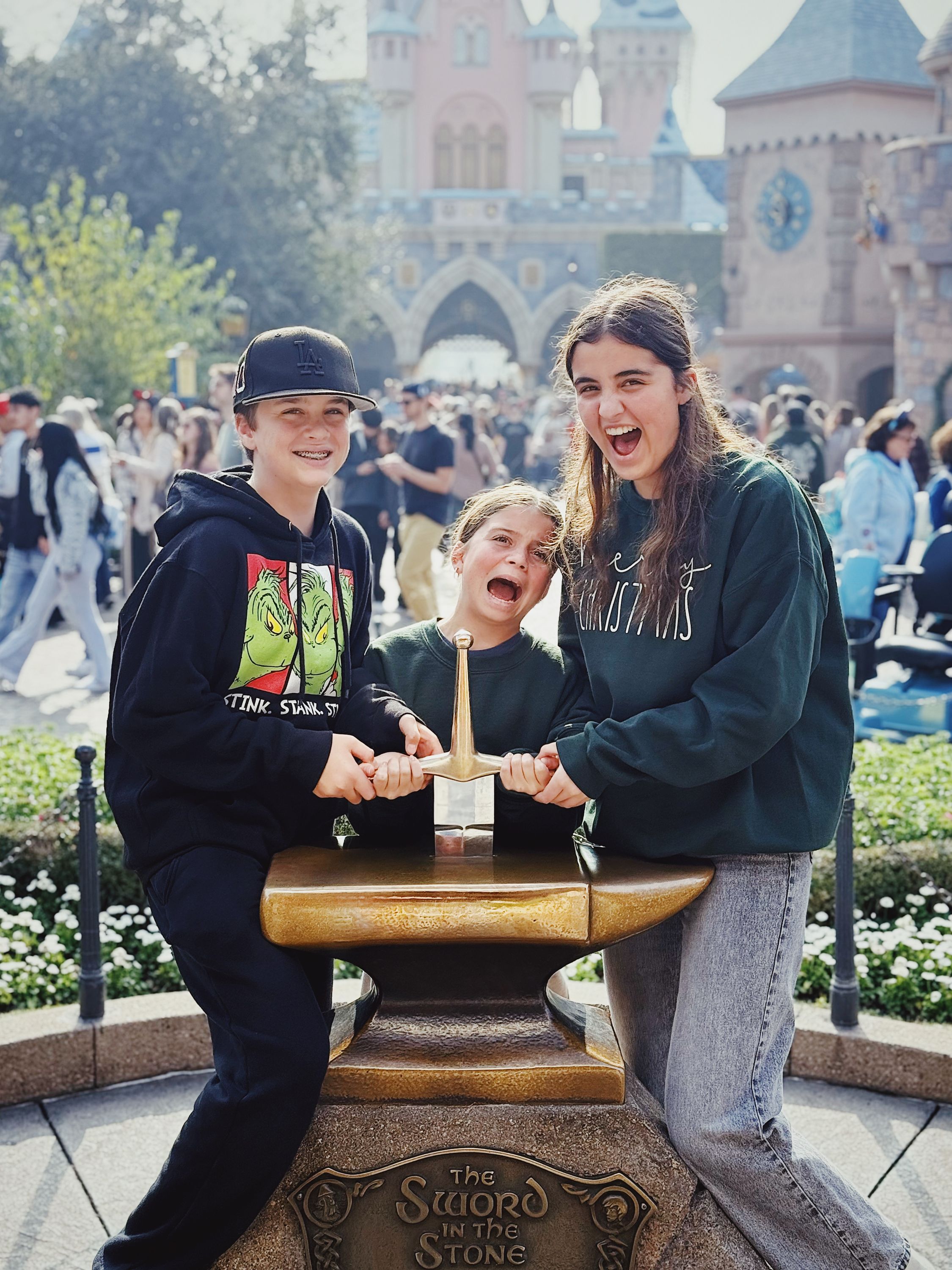 Took our annual trip to Disneyland!