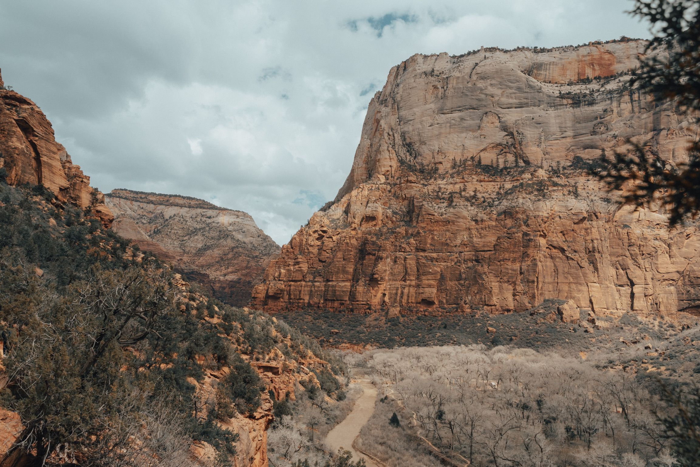 The Grotto Valley in Zion National Park
