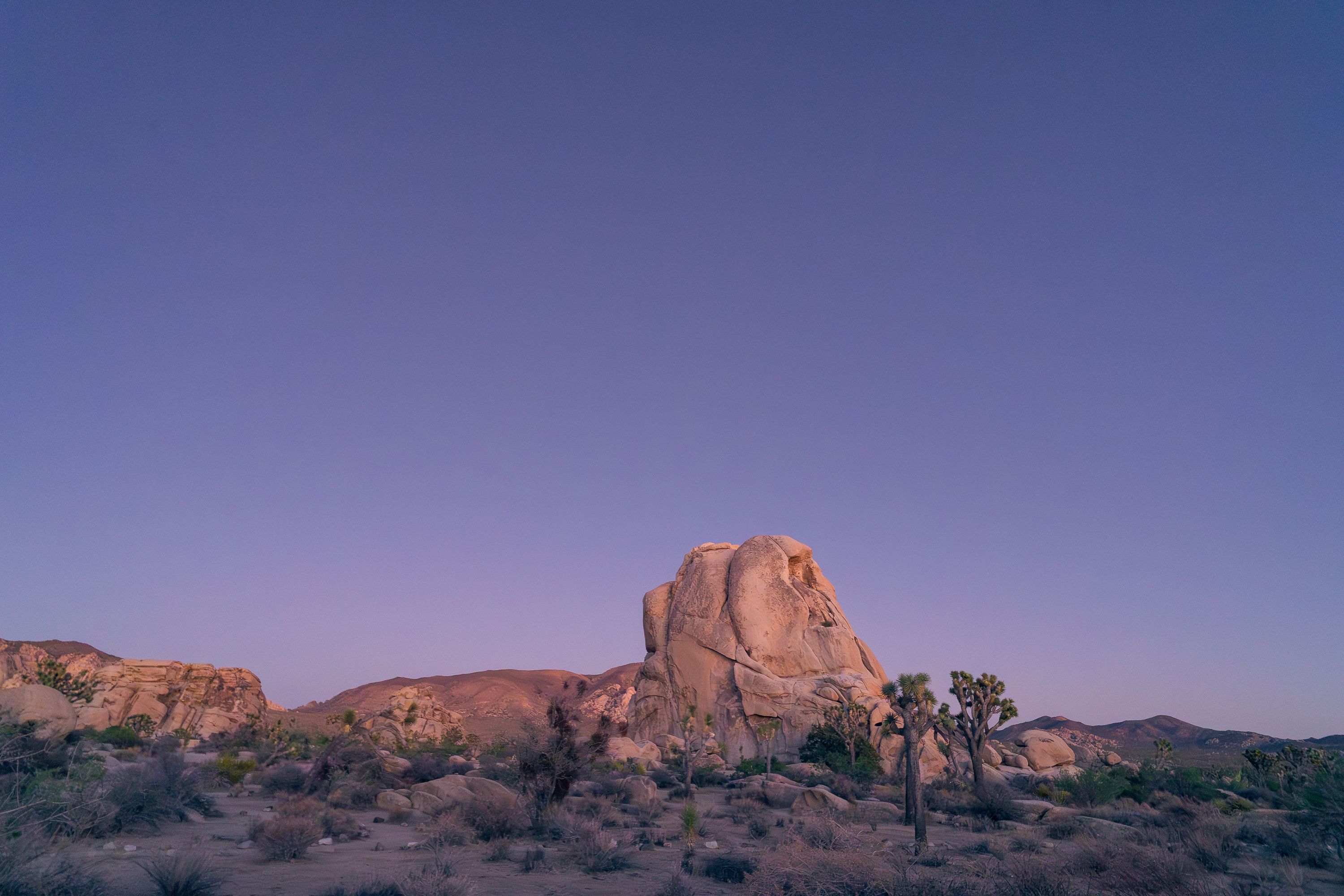 Intersection rock at Joshua Tree