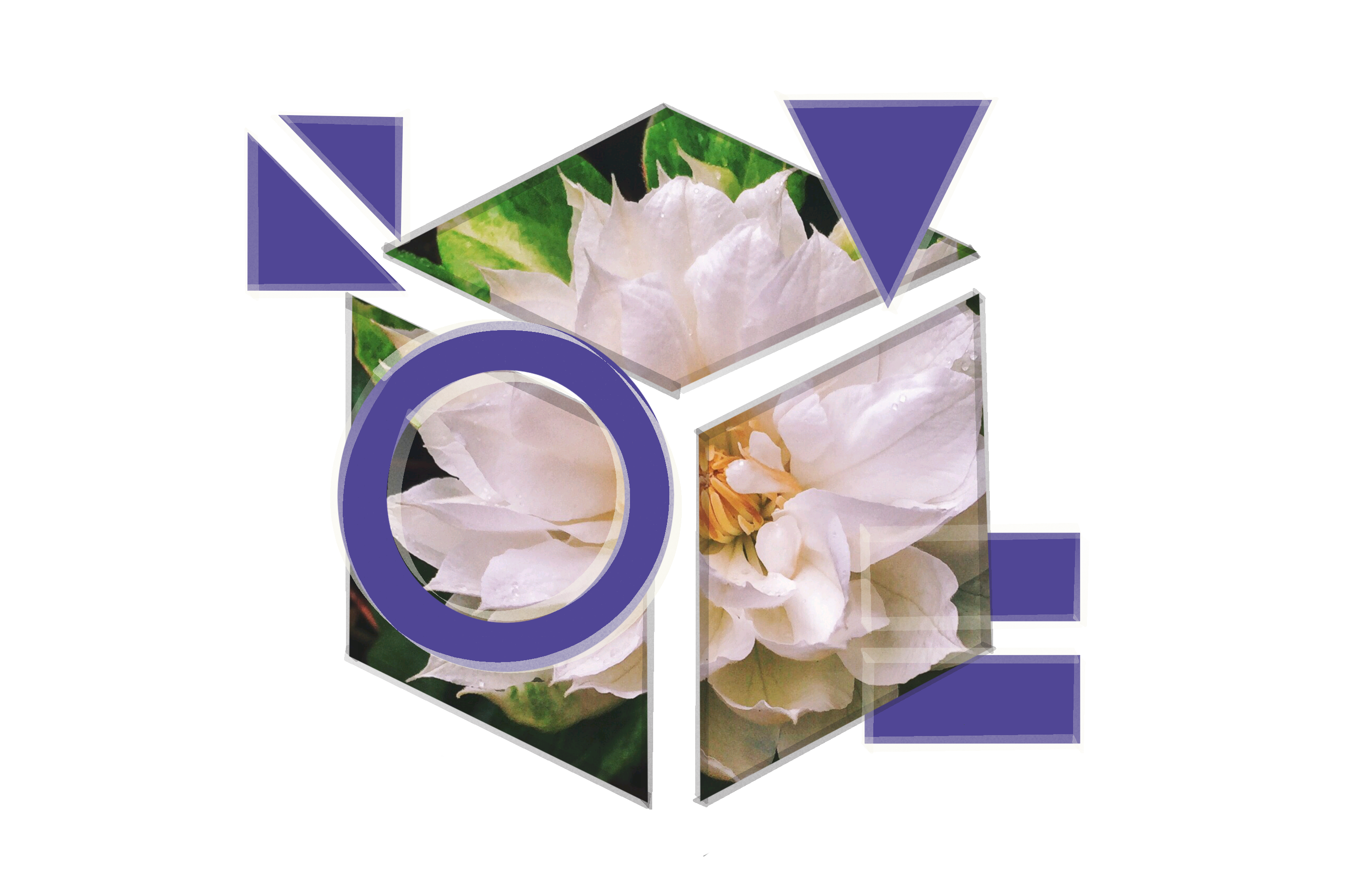 An abstract image representing the NOTE framework