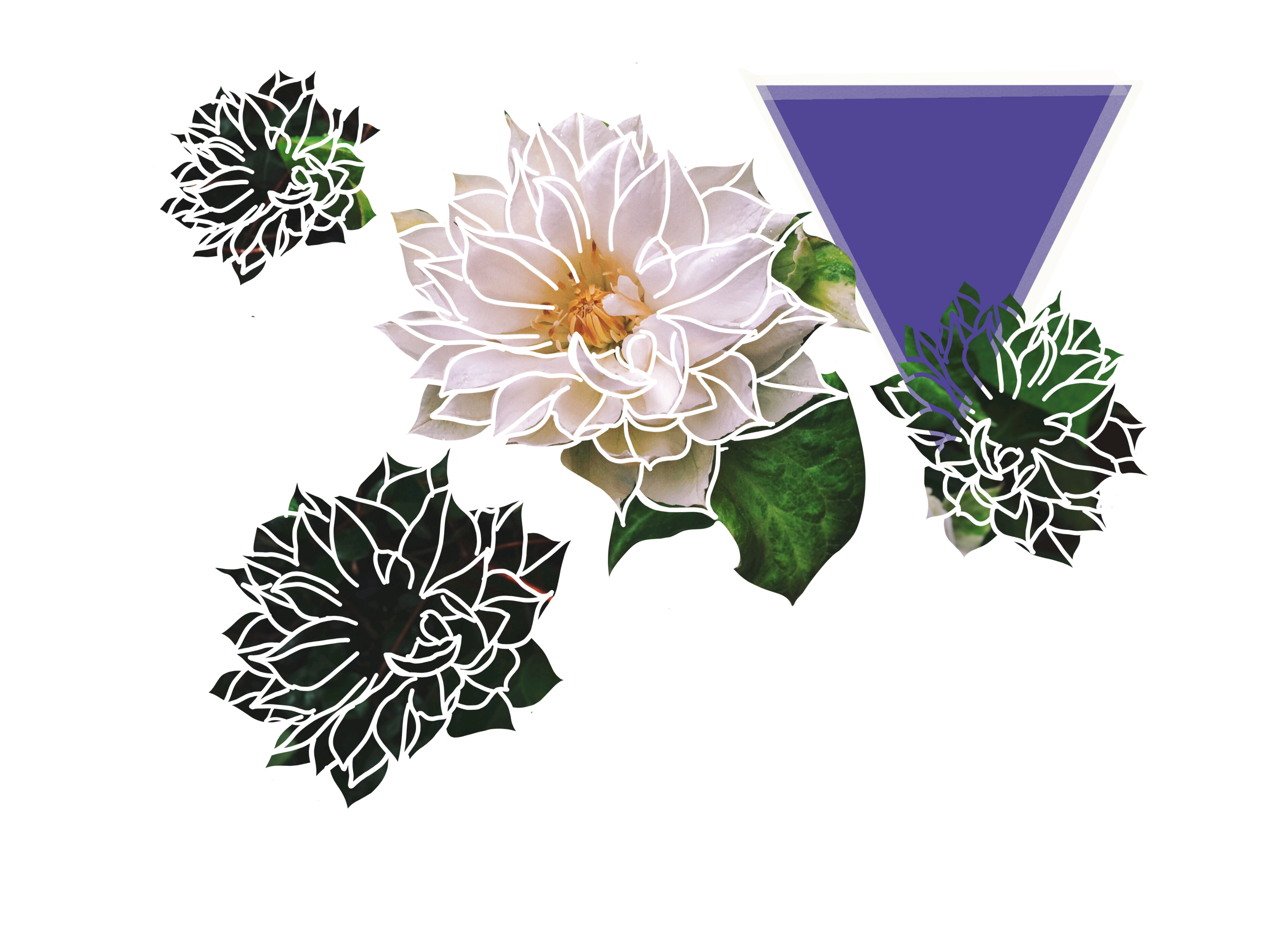 An abstract artwork representing transformability.