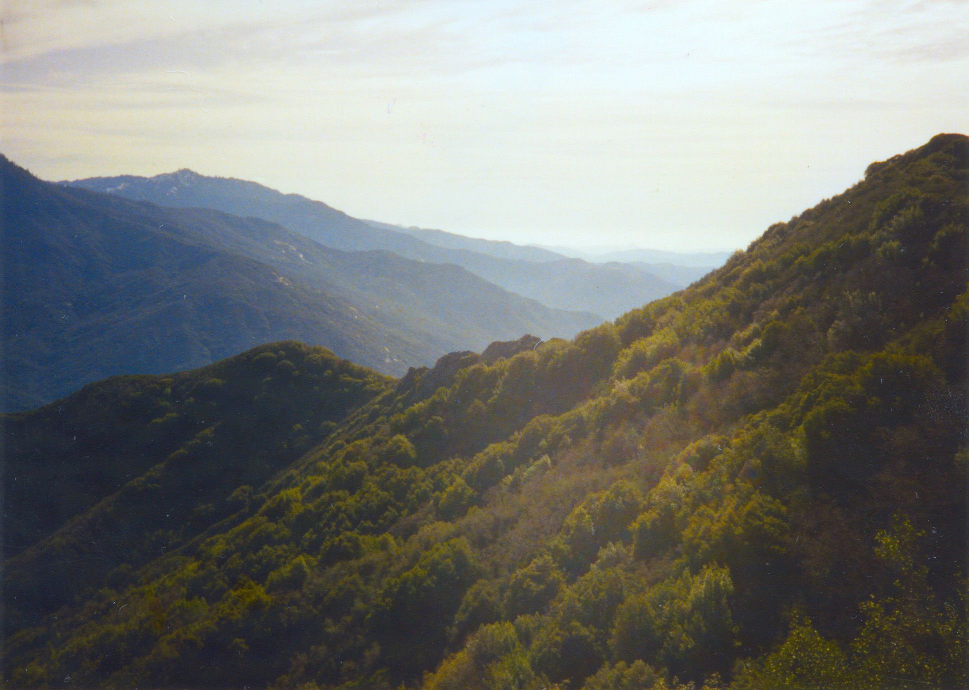 Sequoia National Park-0022