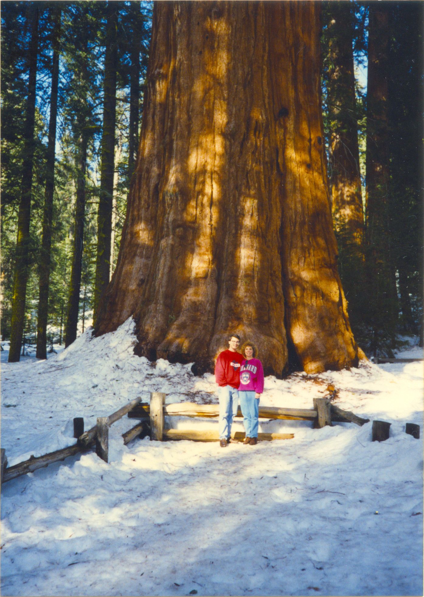 Sequoia National Park-0012