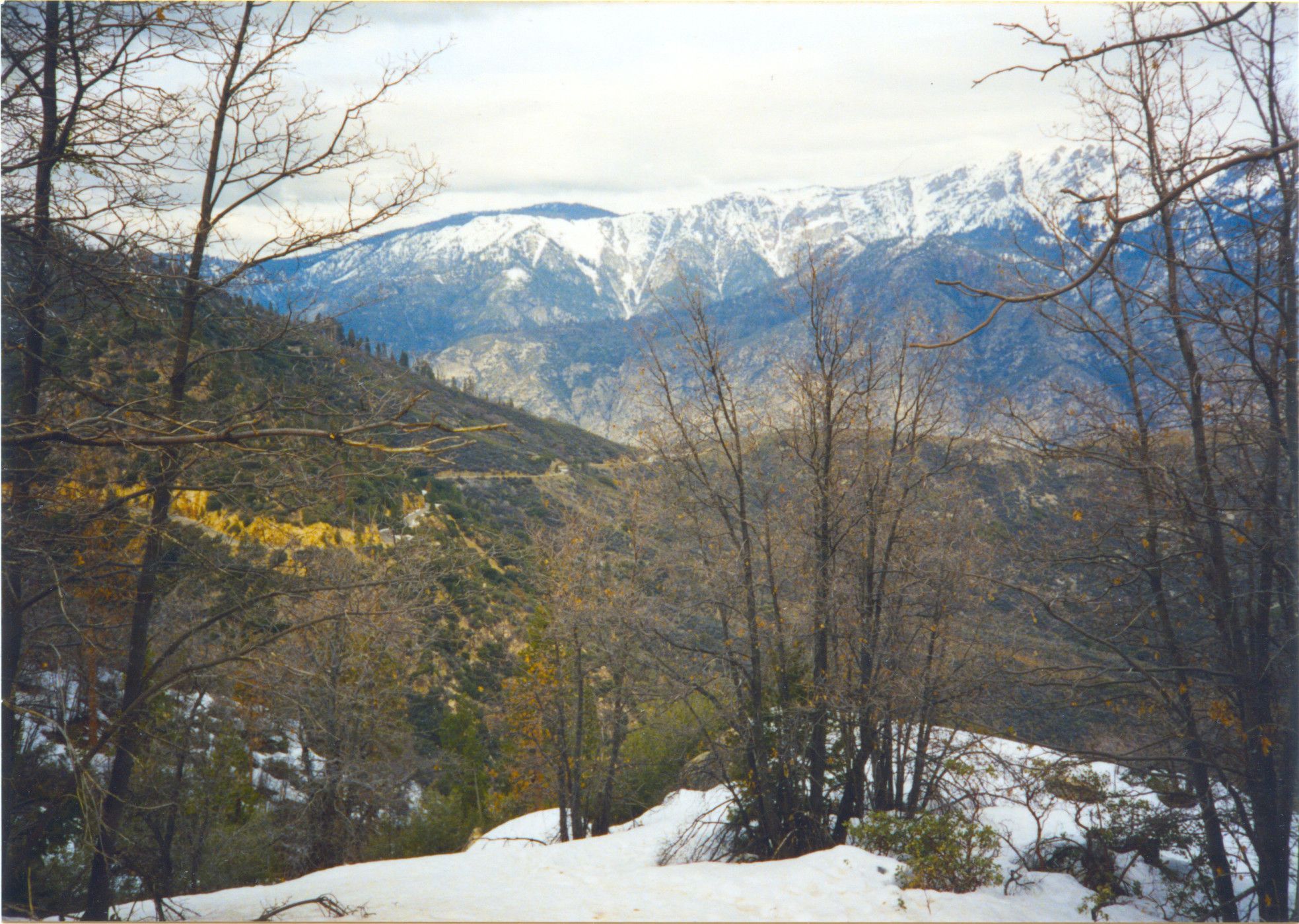 Sequoia National Park-0025