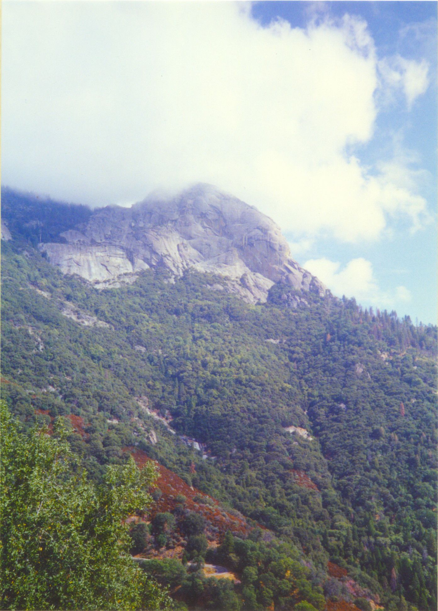 Sequoia National Park-0028