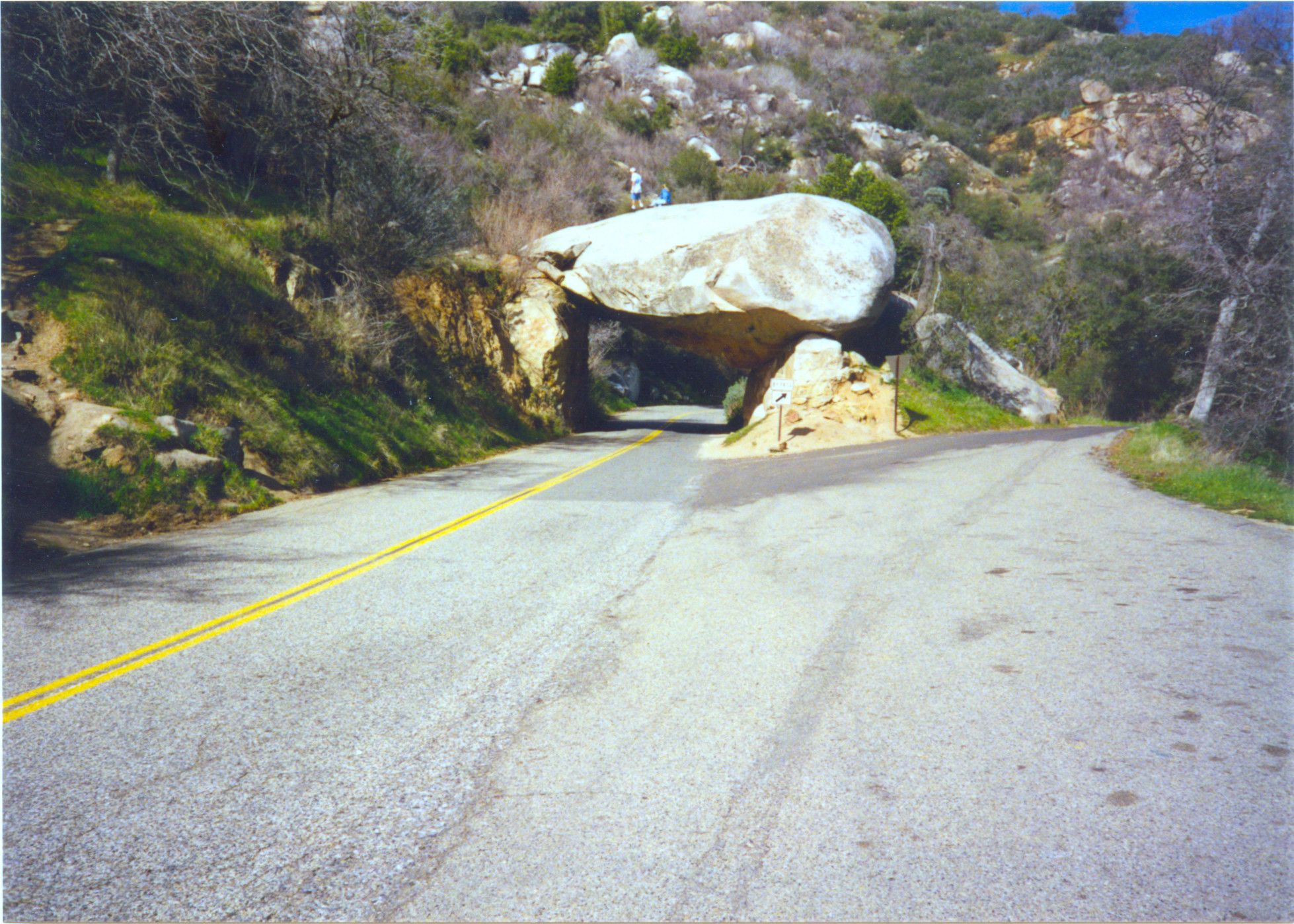 Sequoia National Park-0003