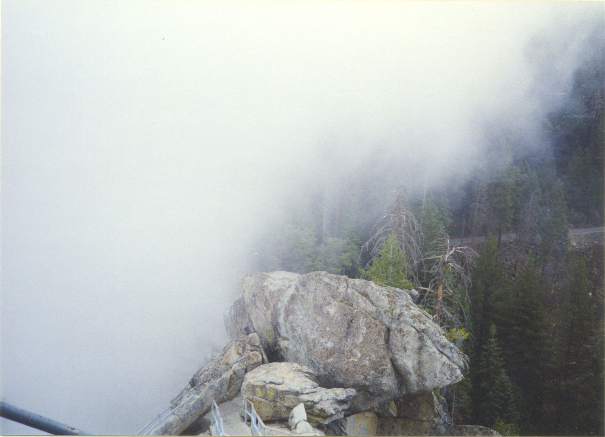 Sequoia National Park-0029