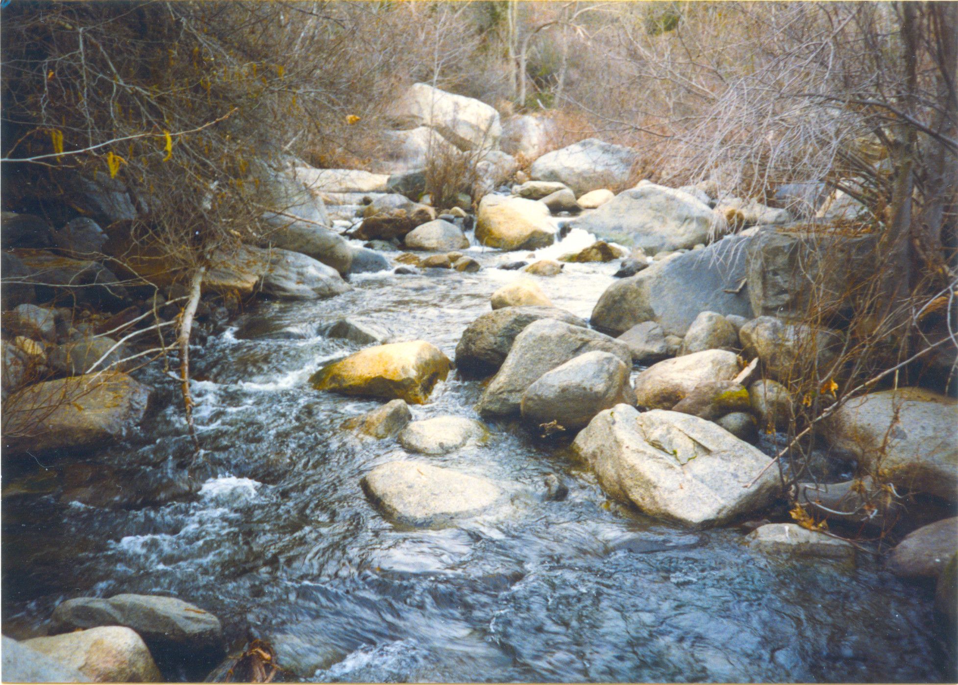 Sequoia National Park-0015