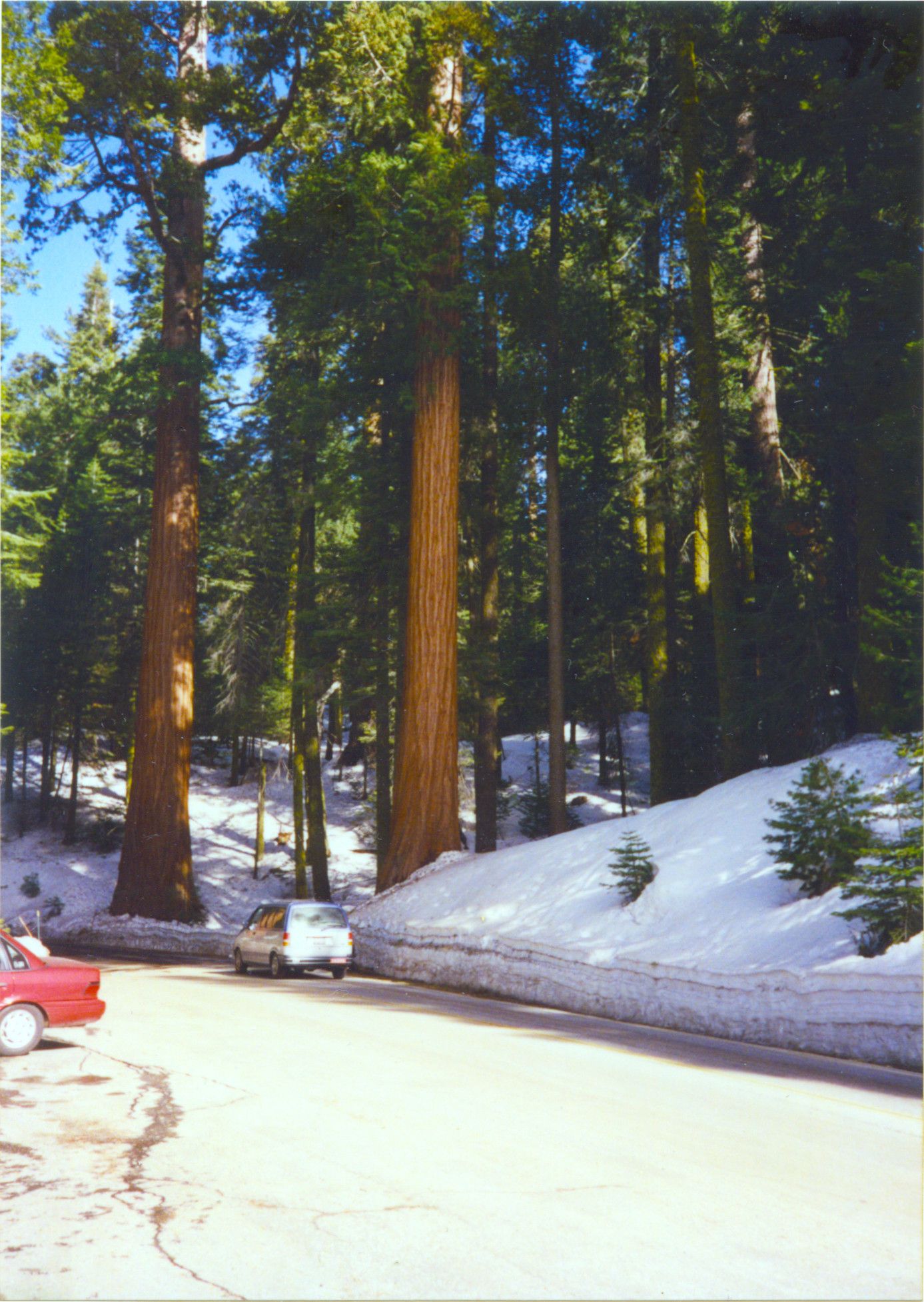 Sequoia National Park-0004