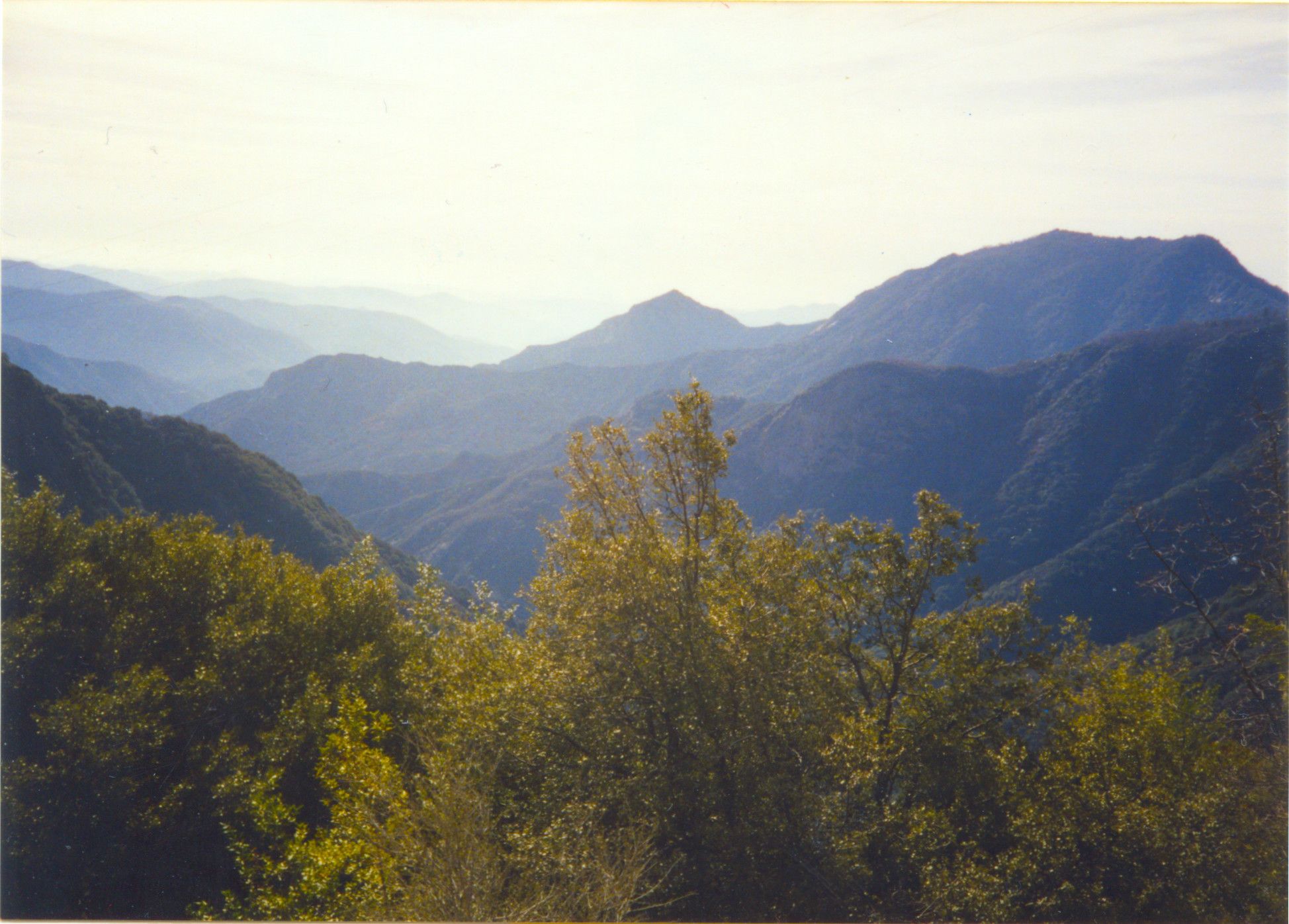 Sequoia National Park-0021