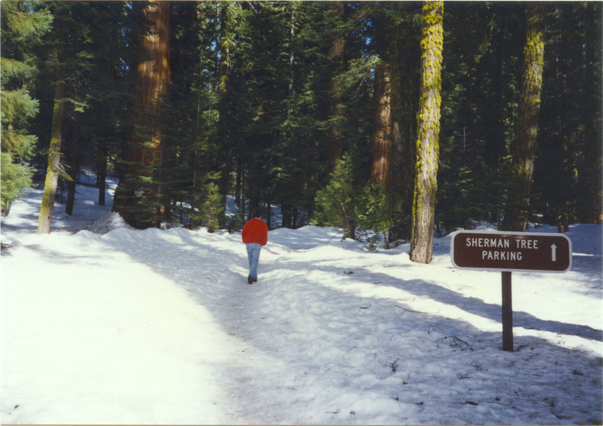 Sequoia National Park-0009