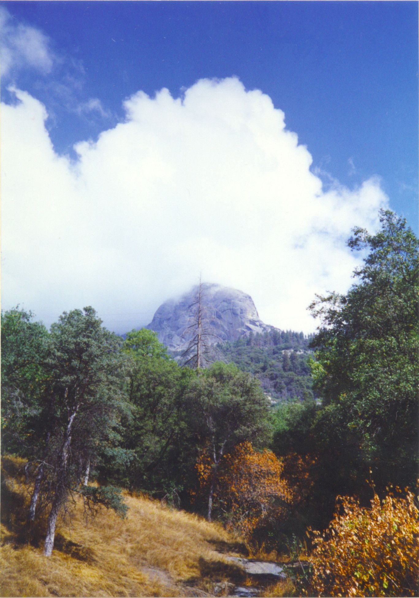 Sequoia National Park-0027