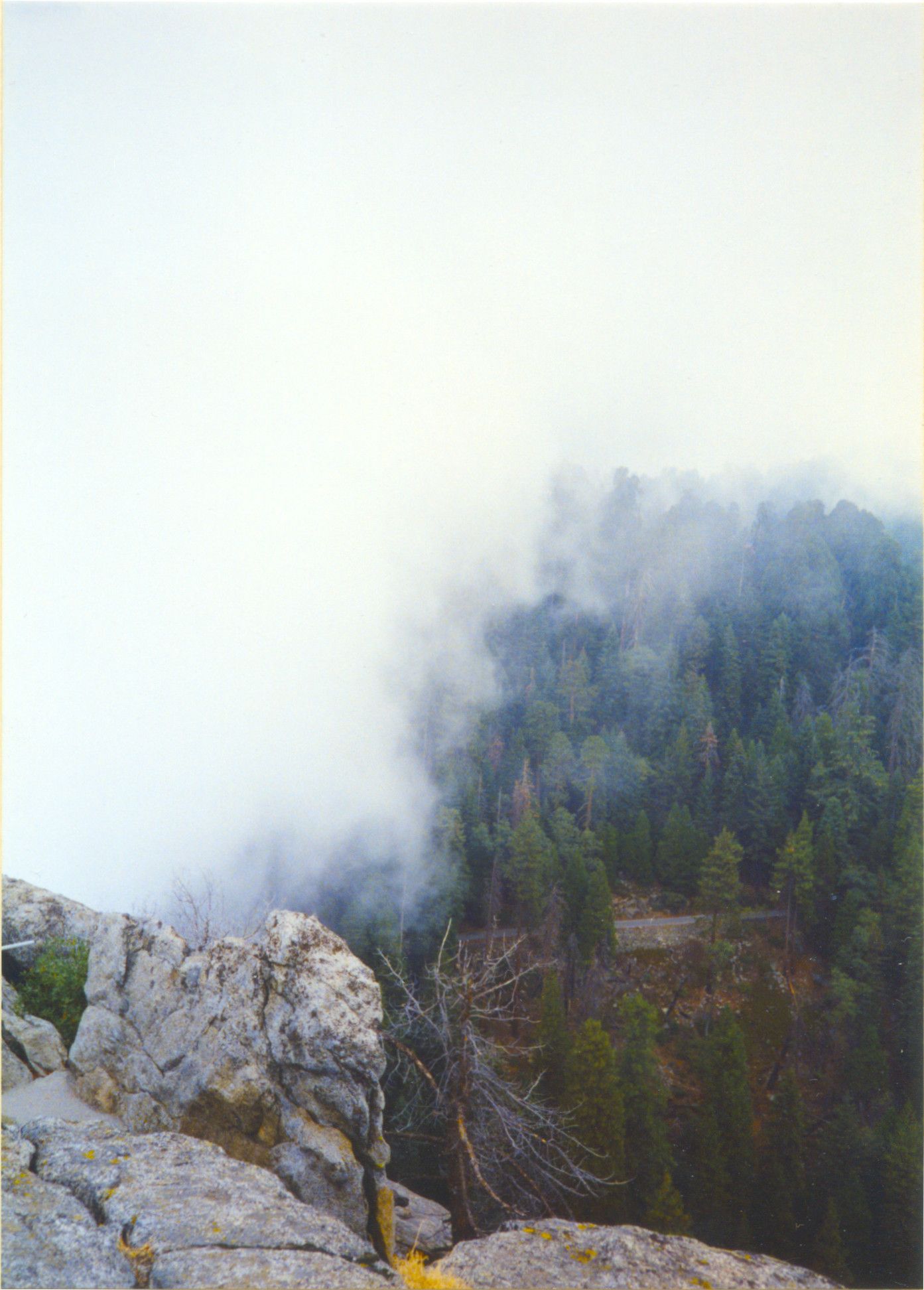 Sequoia National Park-0033