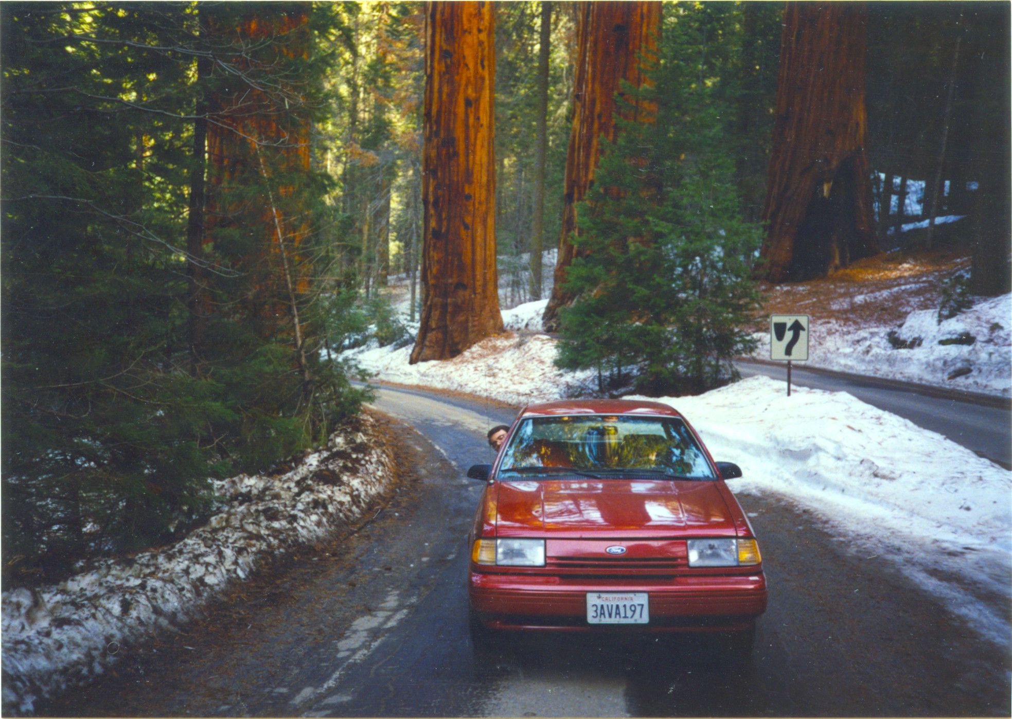 Sequoia National Park-0006