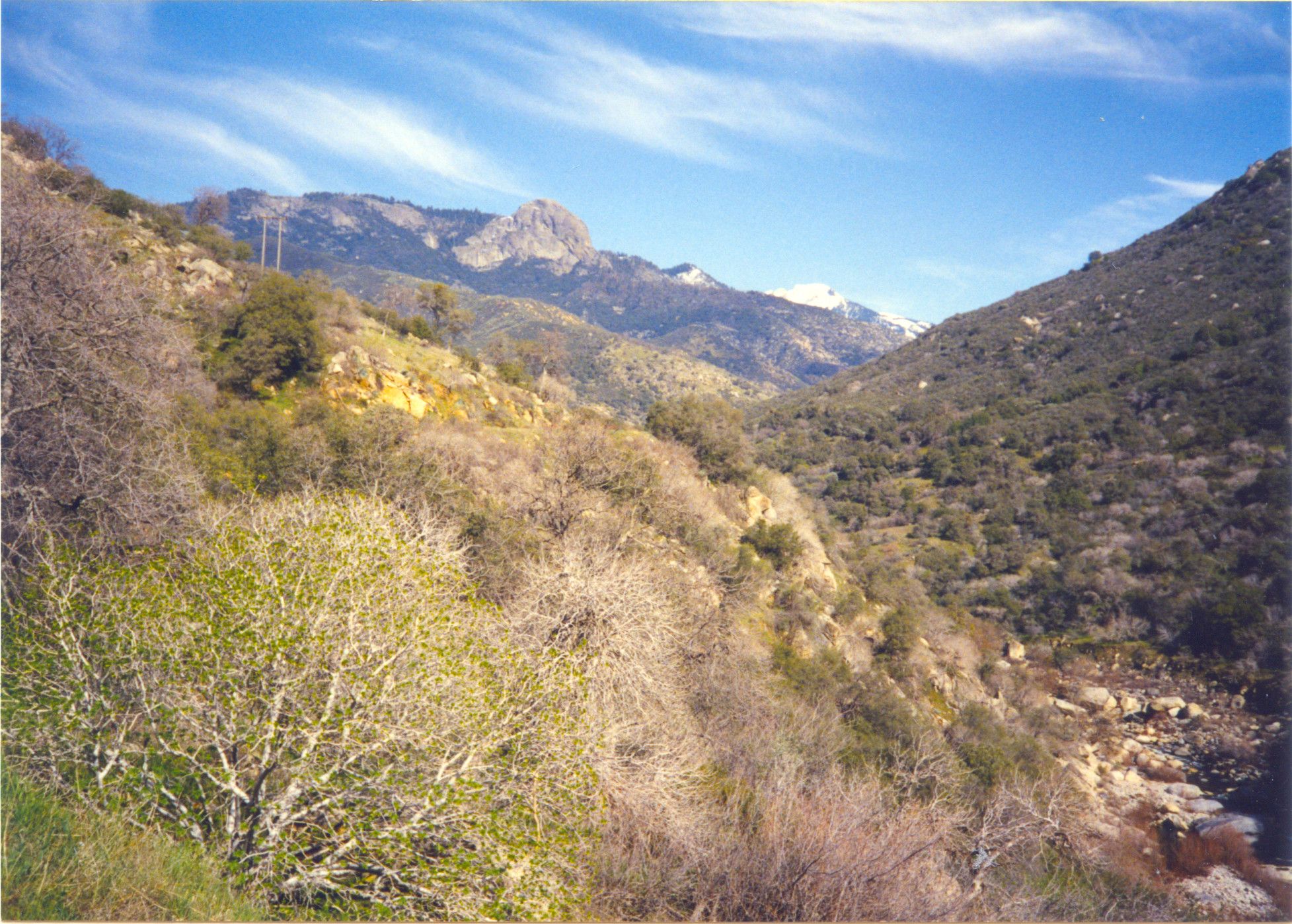 Sequoia National Park-0019