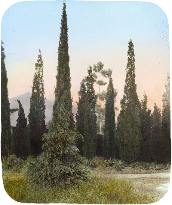 El Fureidis, James Waldron Gillespie house, Parra Grande Lane, Montecito