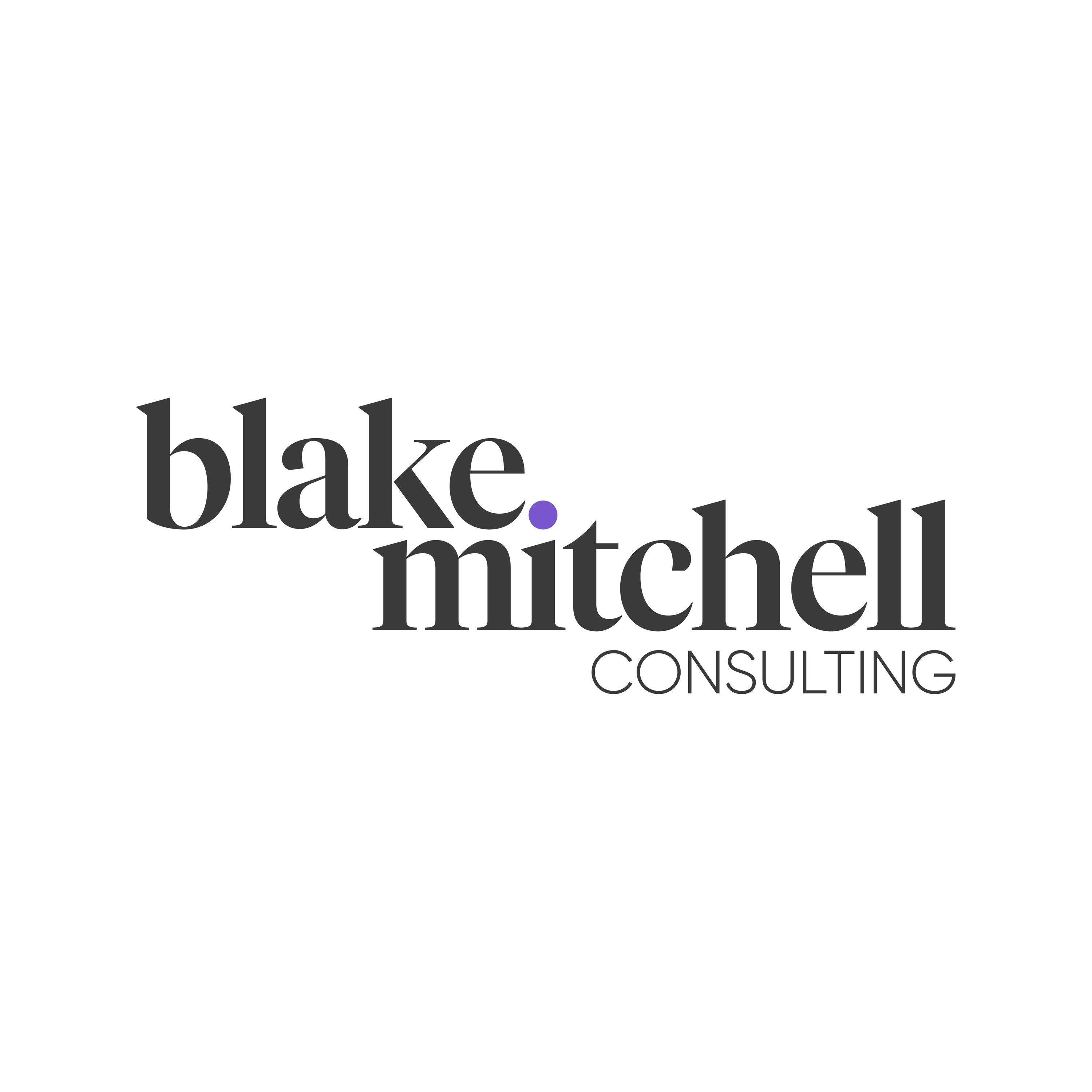 Blake Mitchell Consulting logo