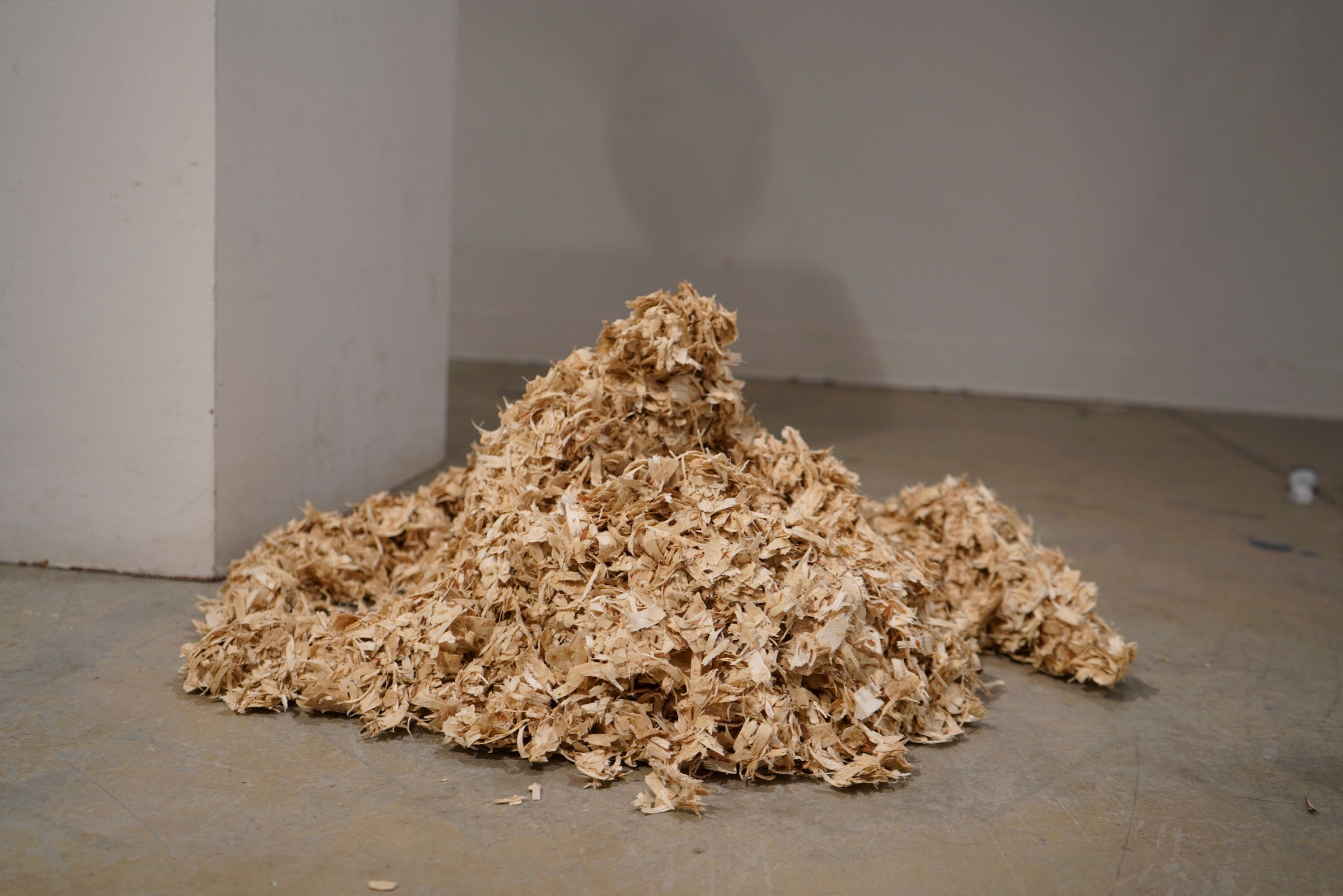 Fall 20a8 2x4 GMU Sculpture12