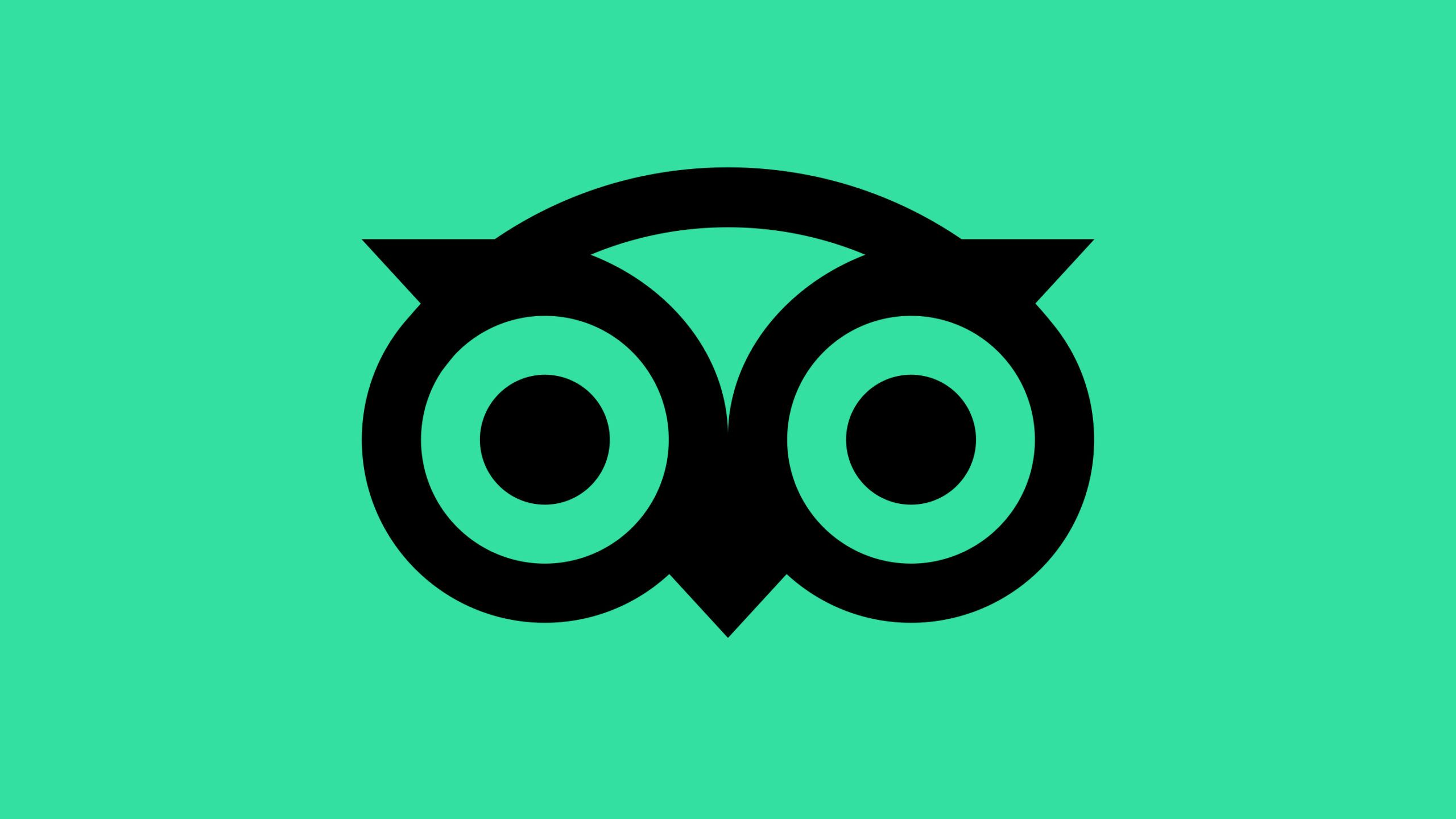 Matthijs van Leeuwen, Matt van Leeuwen, Tripadvisor, Design, Mother Design, Logo, Identity