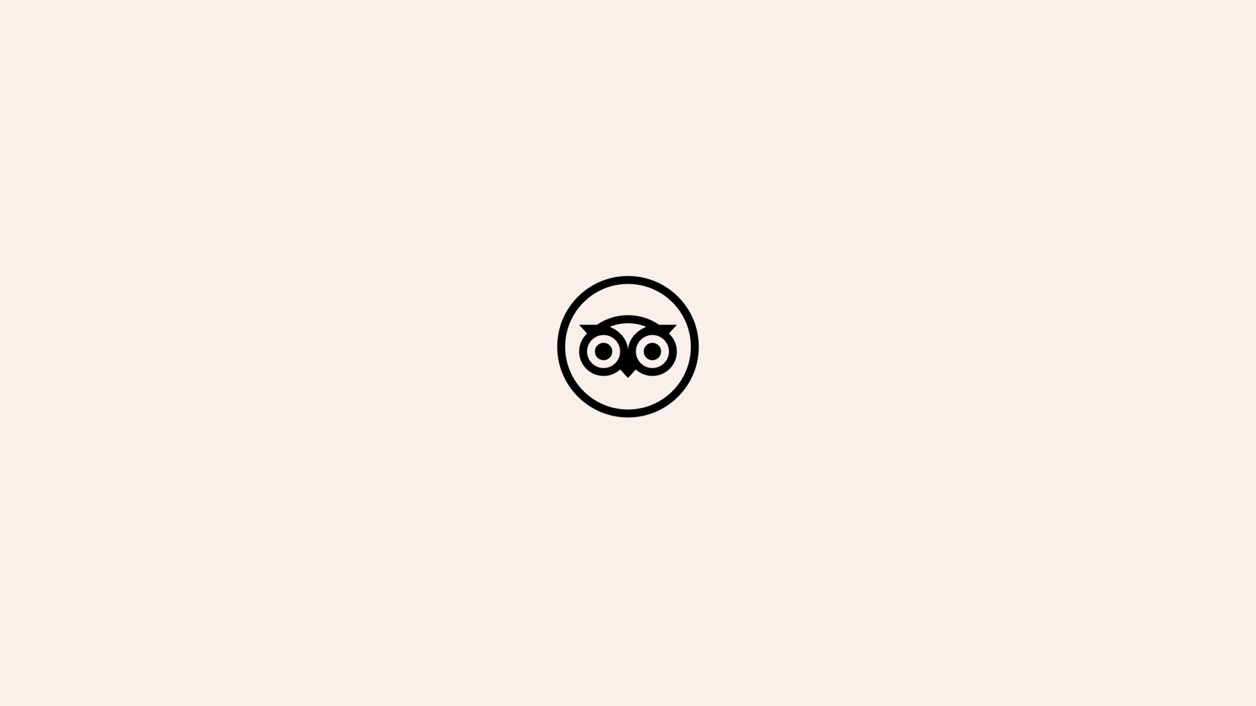 Matthijs van Leeuwen, Matt van Leeuwen, Tripadvisor, Design, Mother Design, Logo, Identity