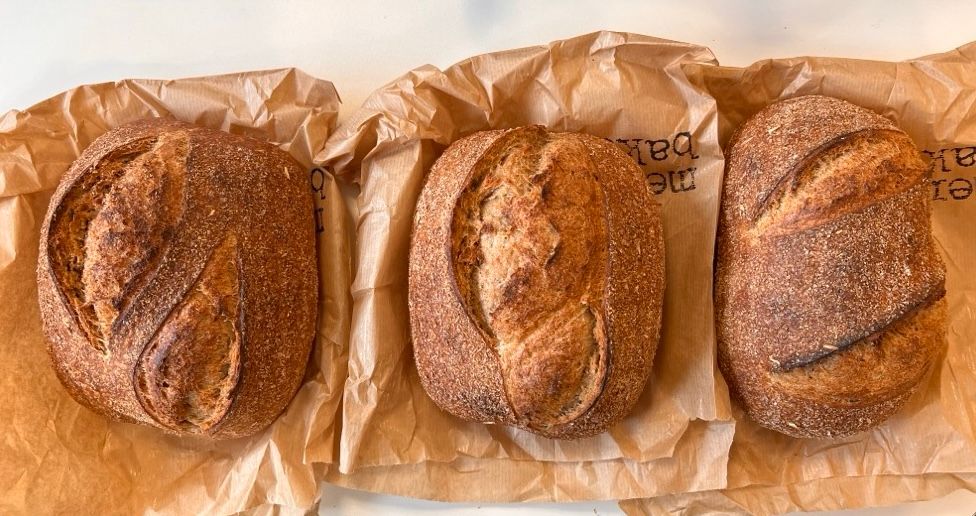 Three wholemeal loaves slashed/scored differently. Amazing the difference in shape!