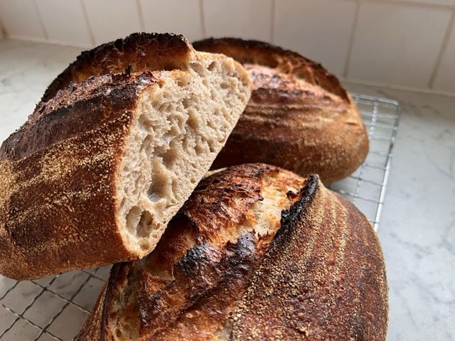 Khorosan + Polenta sourdough