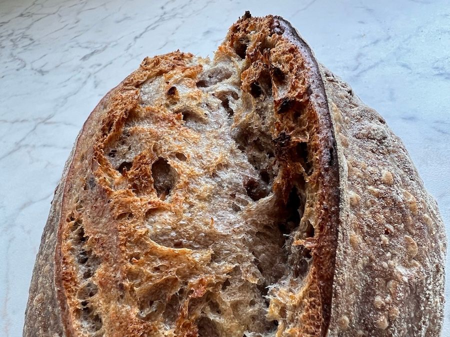 Emmer, walnut and polenta loaf - close up of bloom