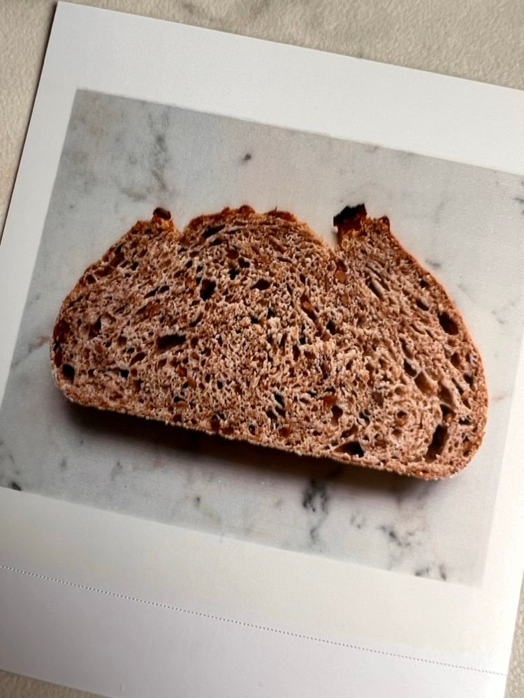 photo of a printed photo of the sunflower and sesame seed crumb