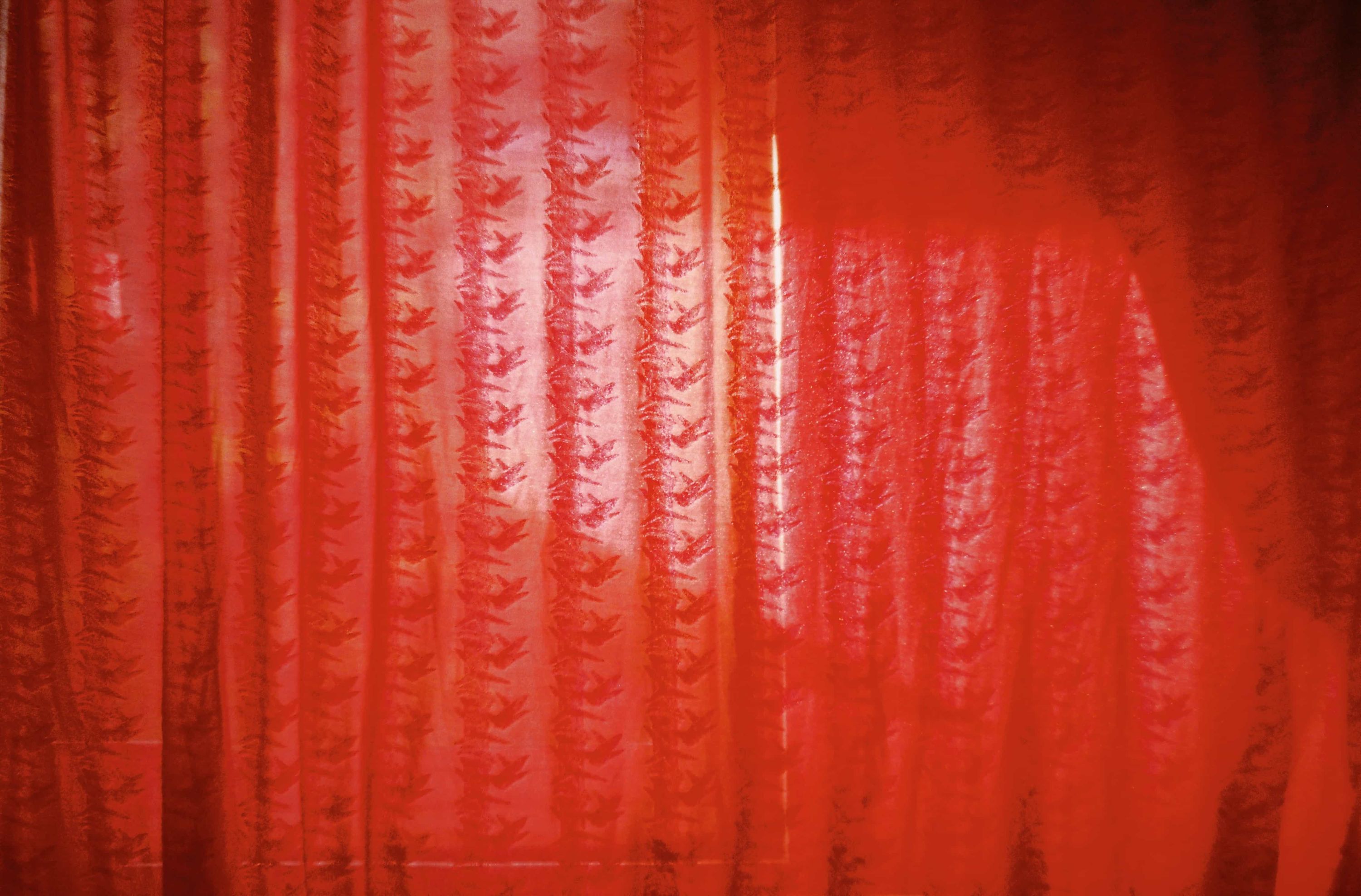 curtains at granny’s from the 70/80s’ embroidered with bamboos