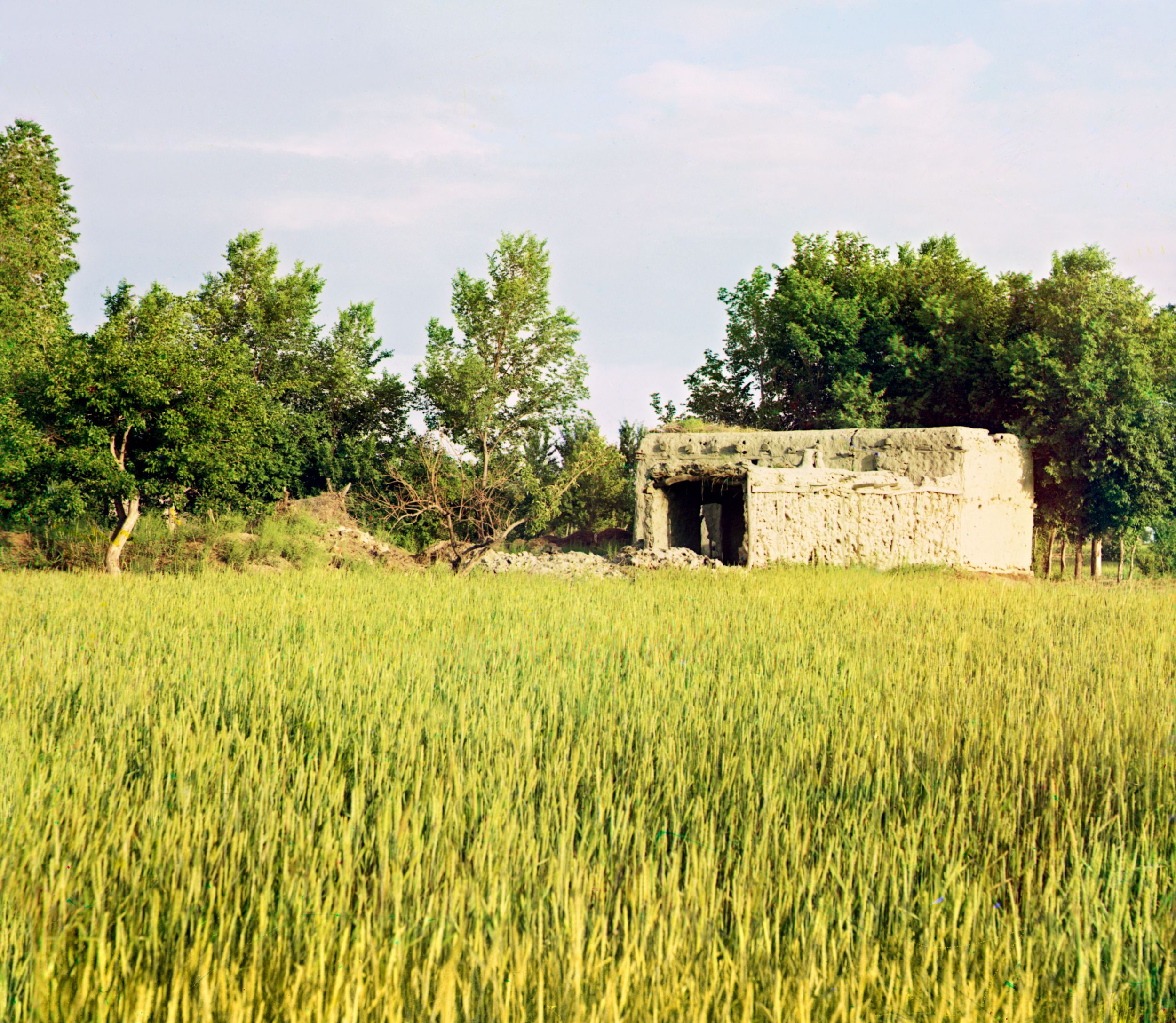 Adobe building in a grassy field, trees in background