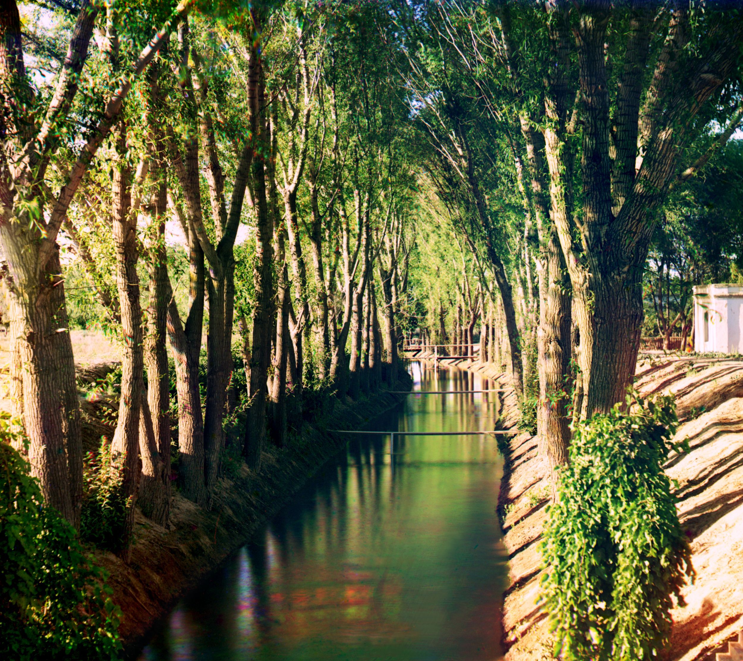 Irrigation canal (aryk) in the Murgab Estate