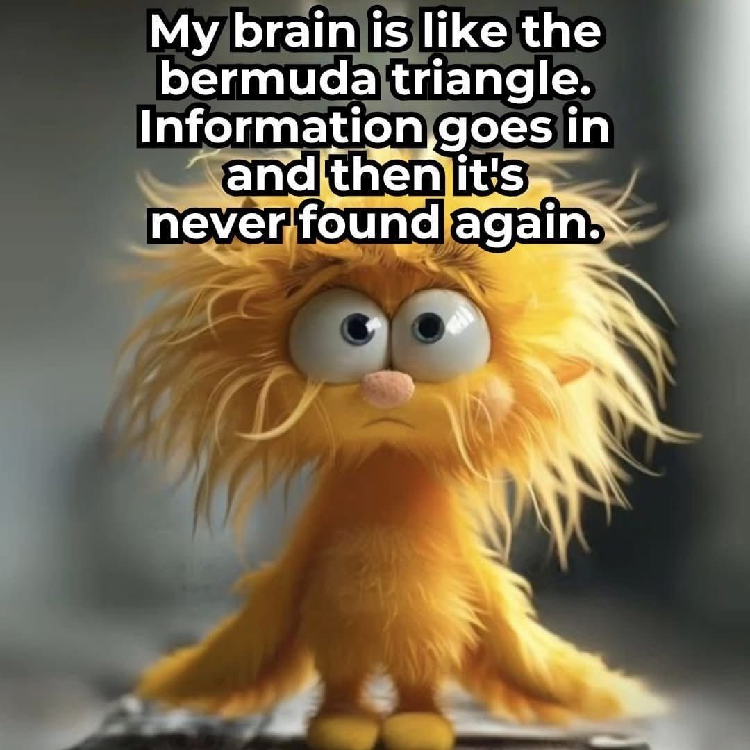 Brainfog Brainfog