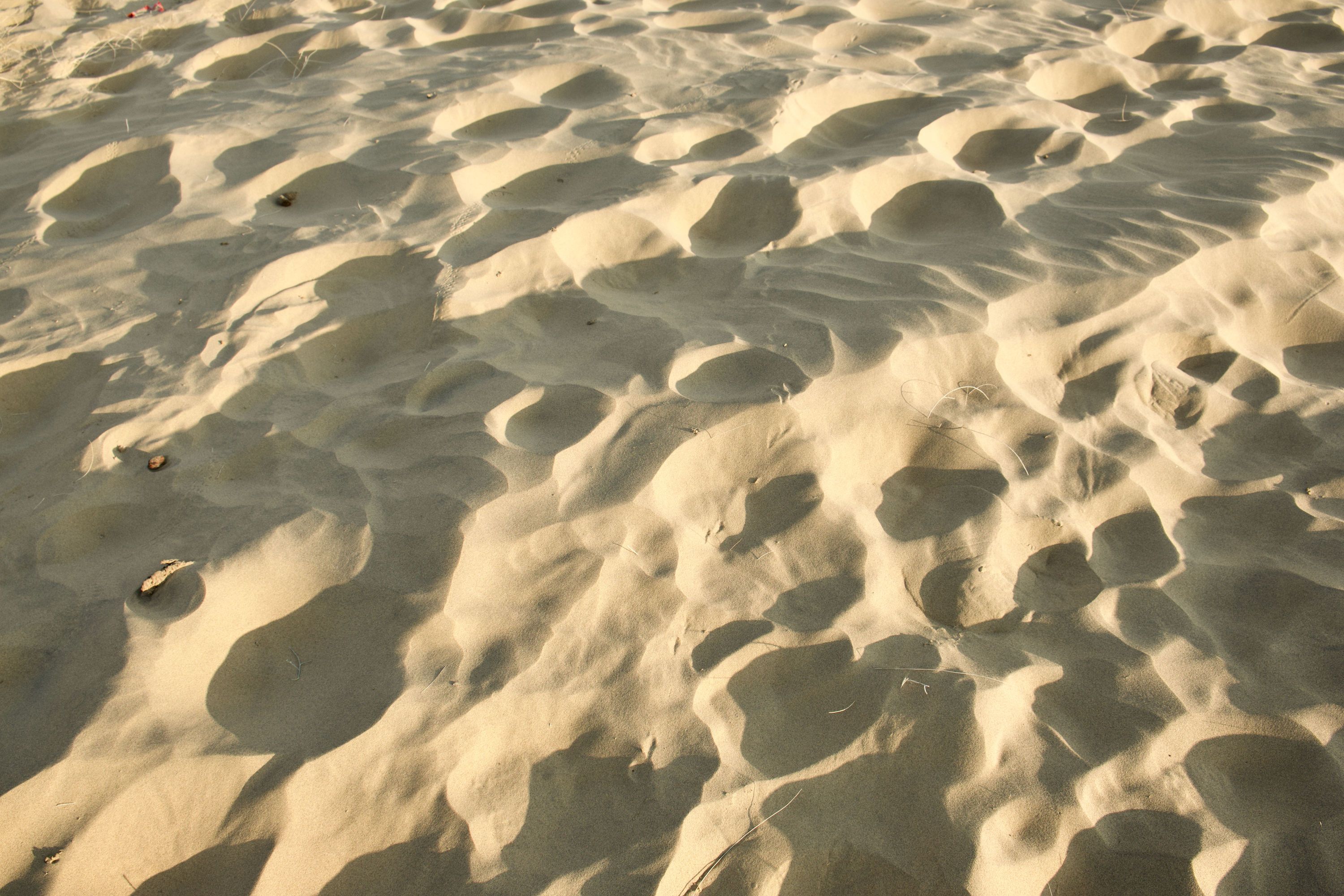 The Thar desert, near Jaisalmer, Rajasthan, India. January 2021.