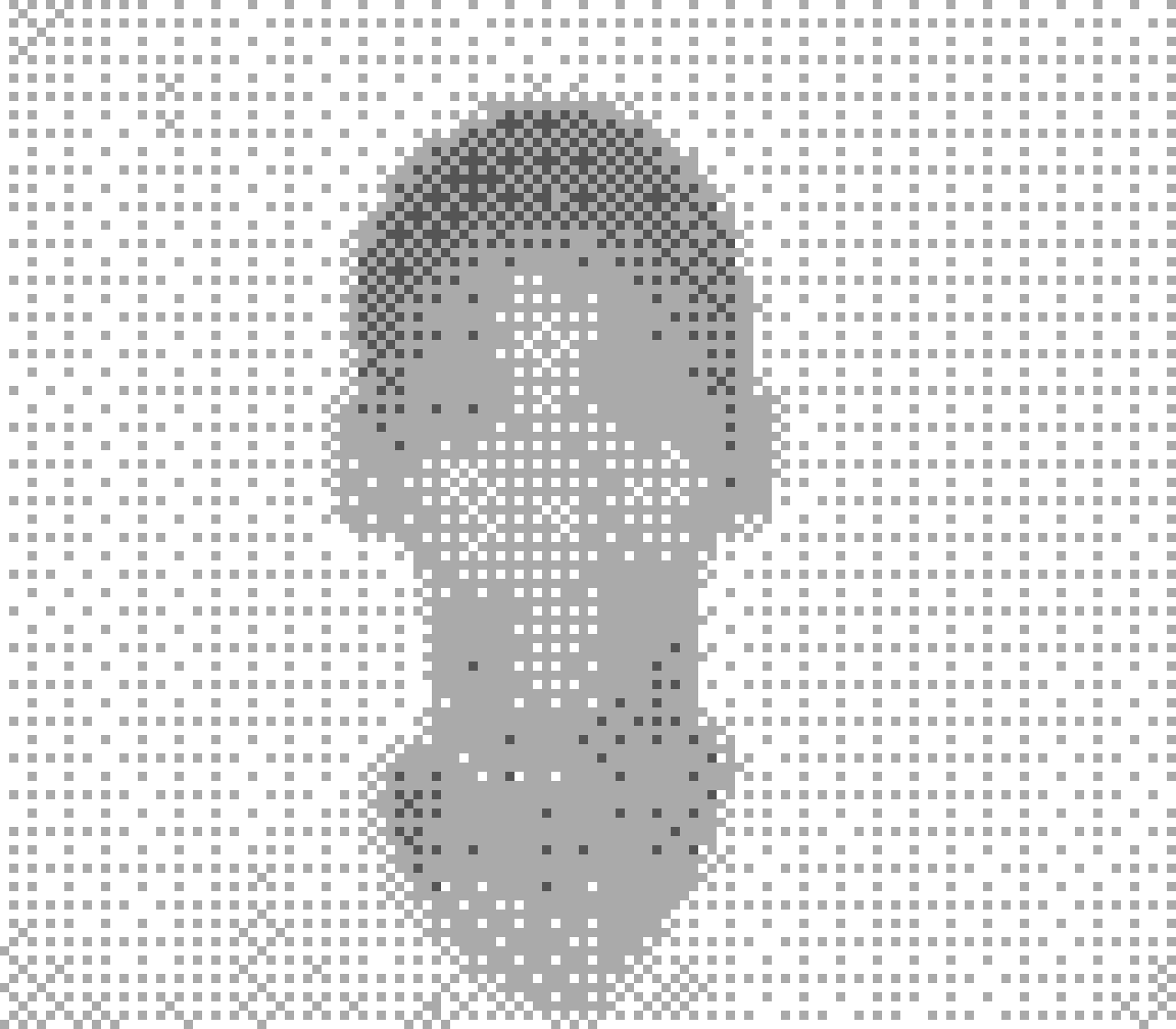 Heavily pixelated image of biometric ID photo