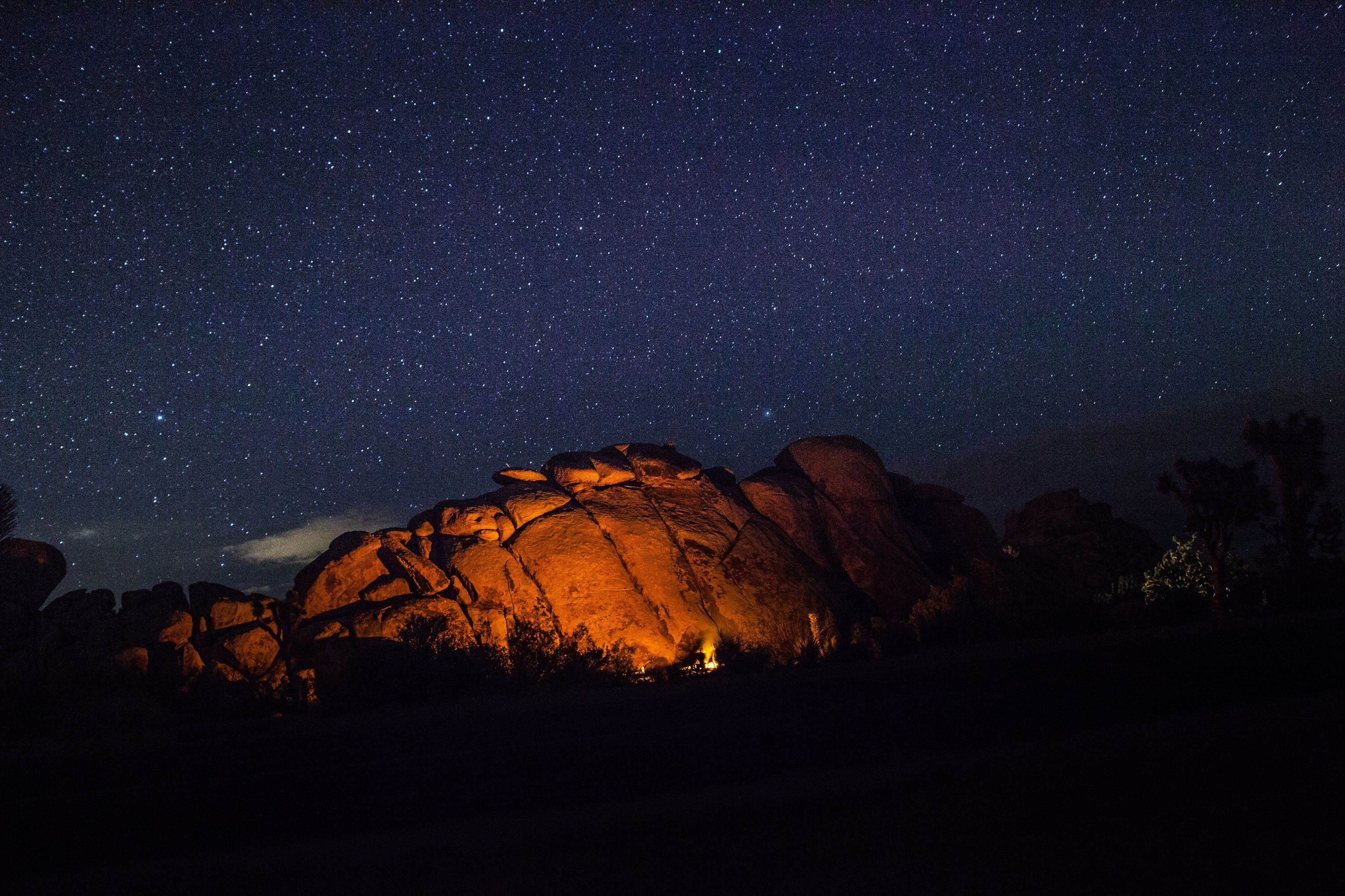 Photo by Josh Willink