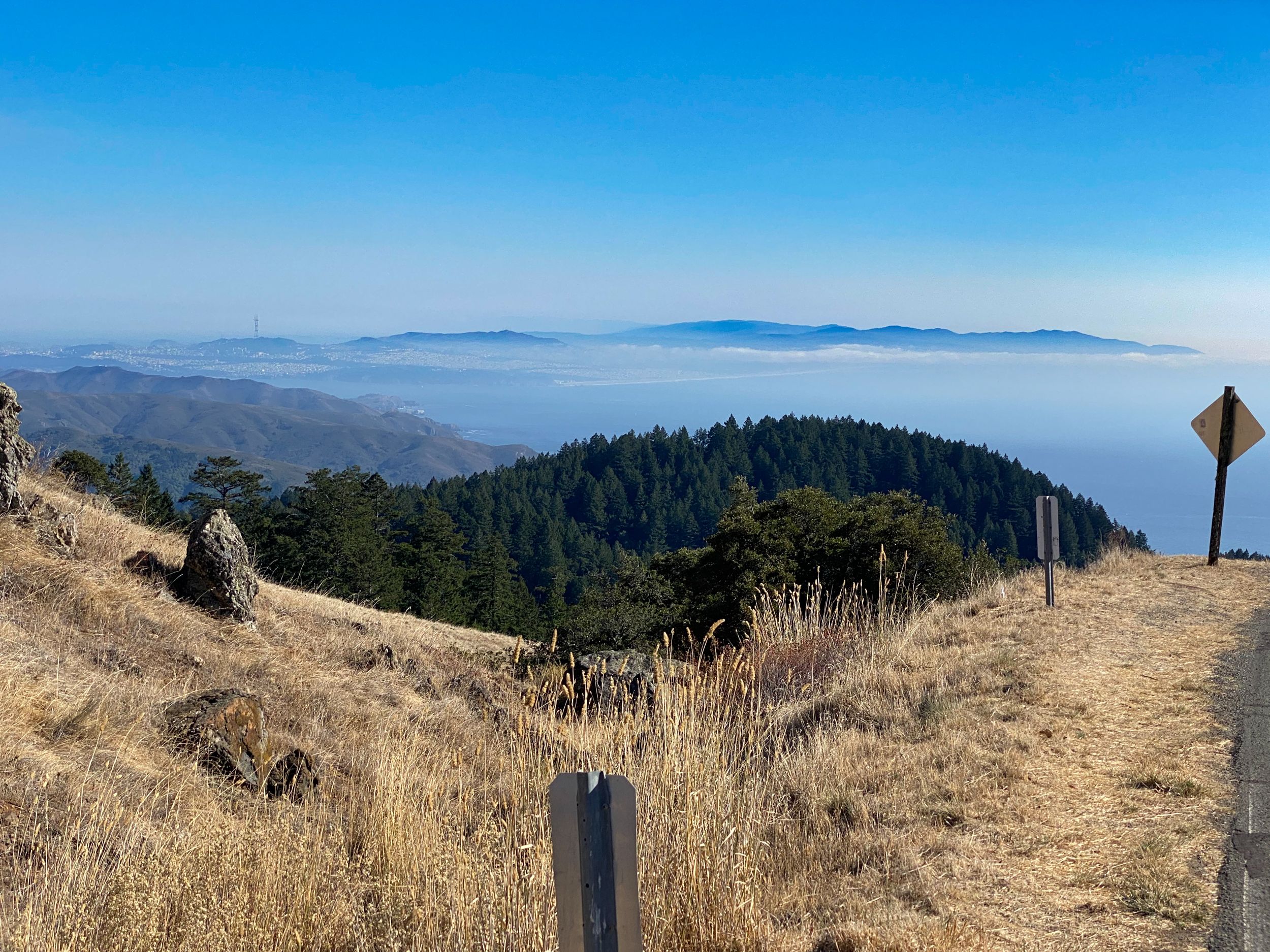 Descending Tam