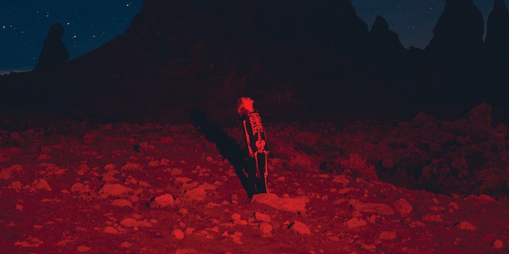 Phoebe Bridgers: Punisher Album Review | Pitchfork