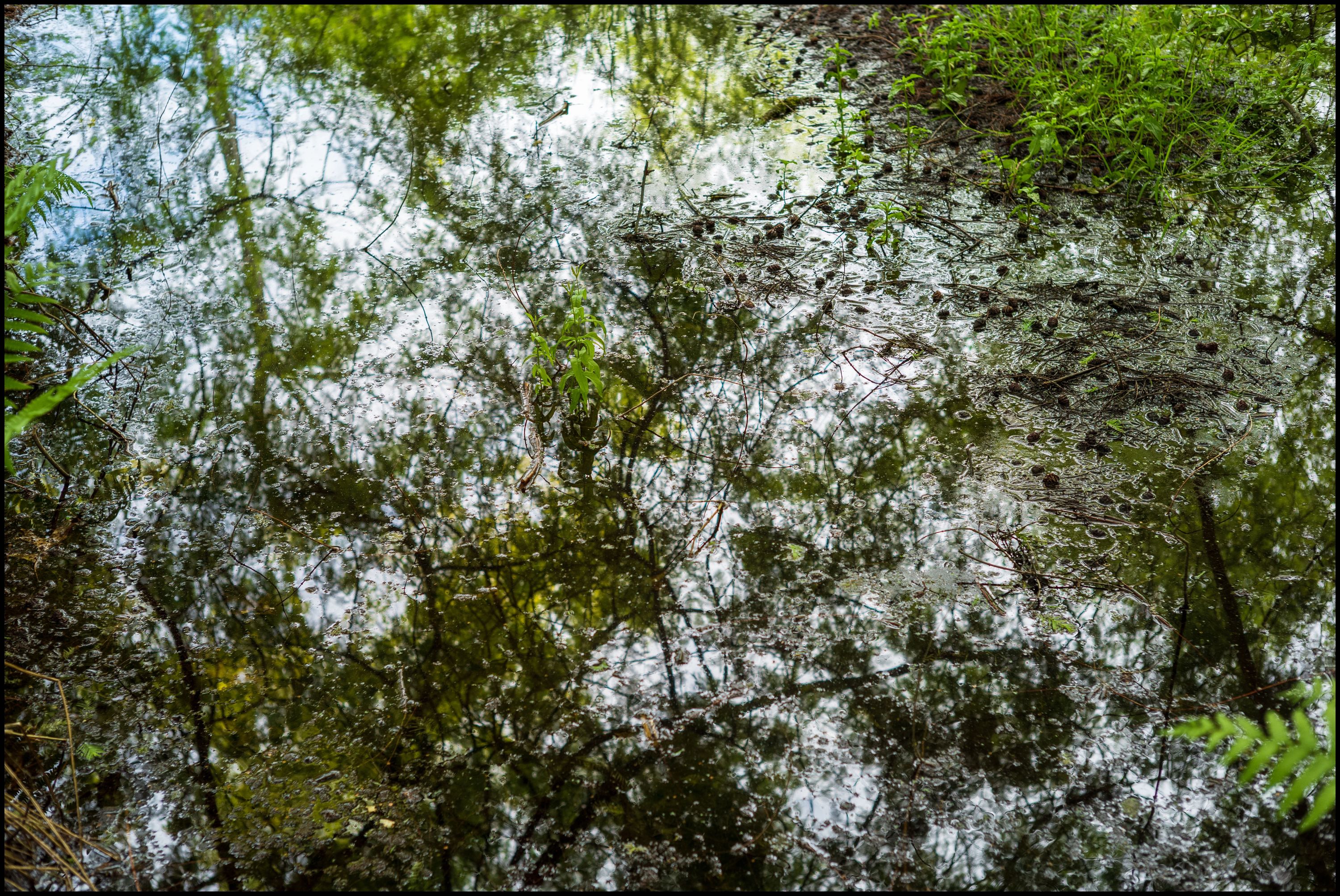 Pond Meets Sky, Leica M10 & 50mm Sonnar