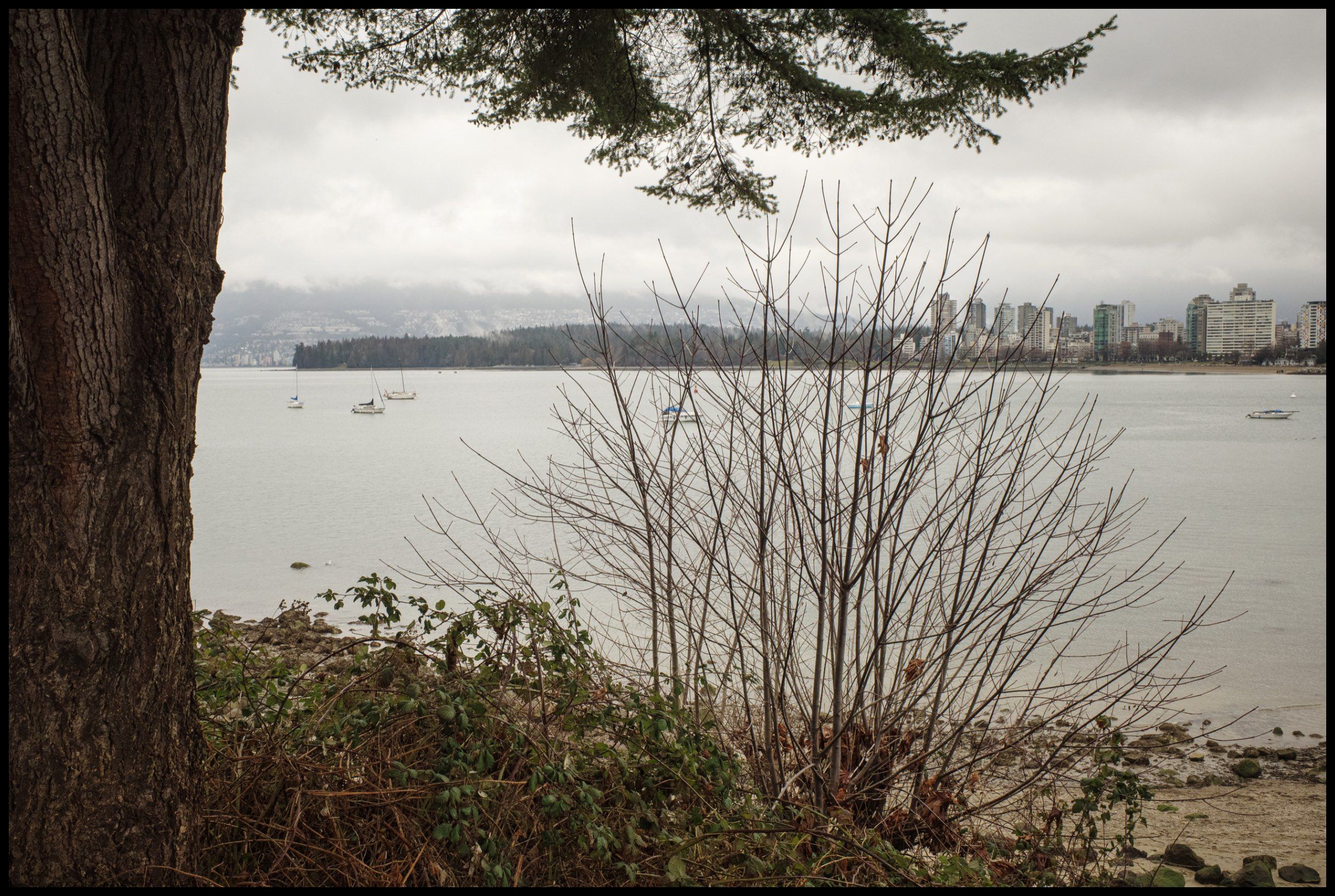 English Bay, West End & Stanley Park