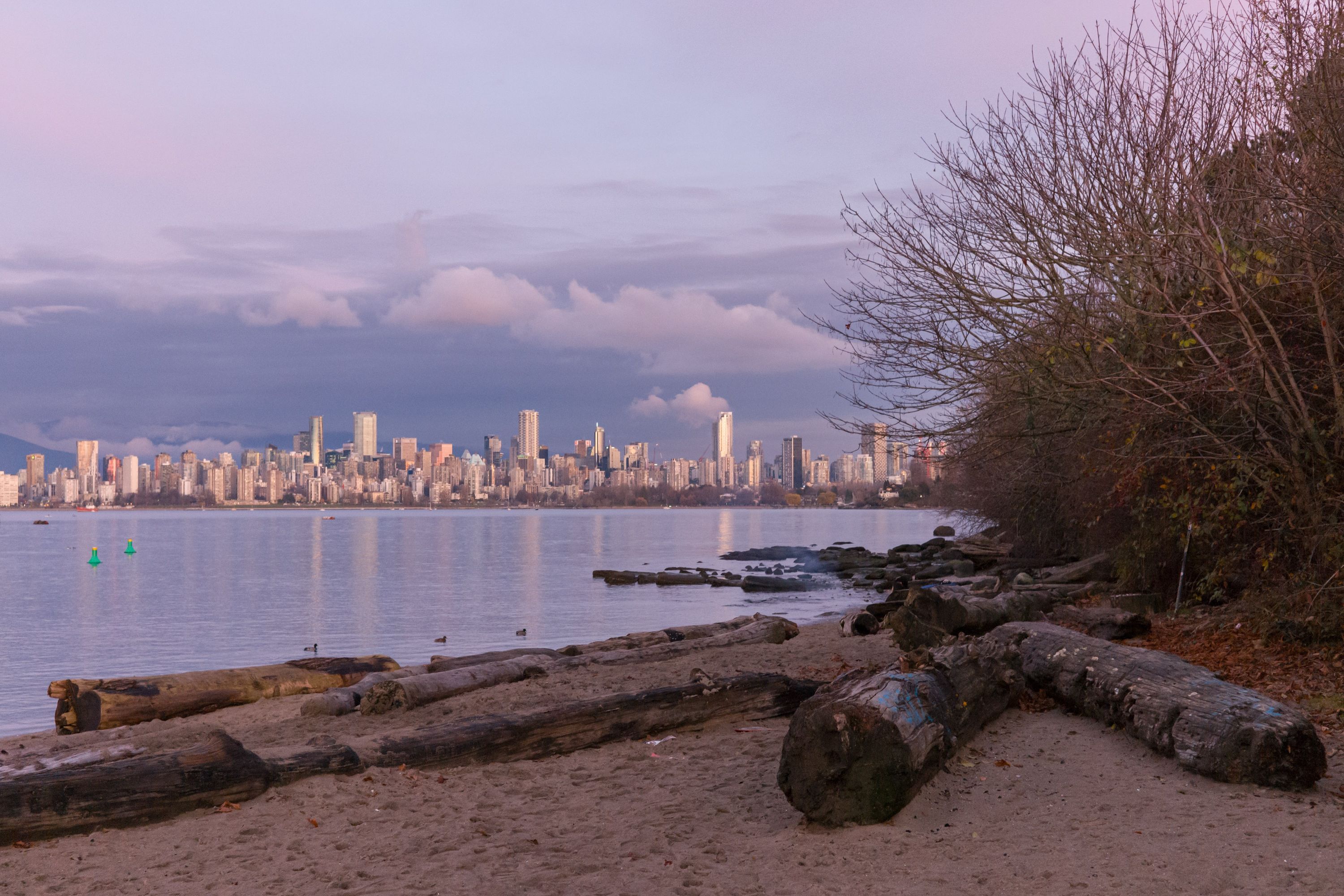 East Jericho Skyline