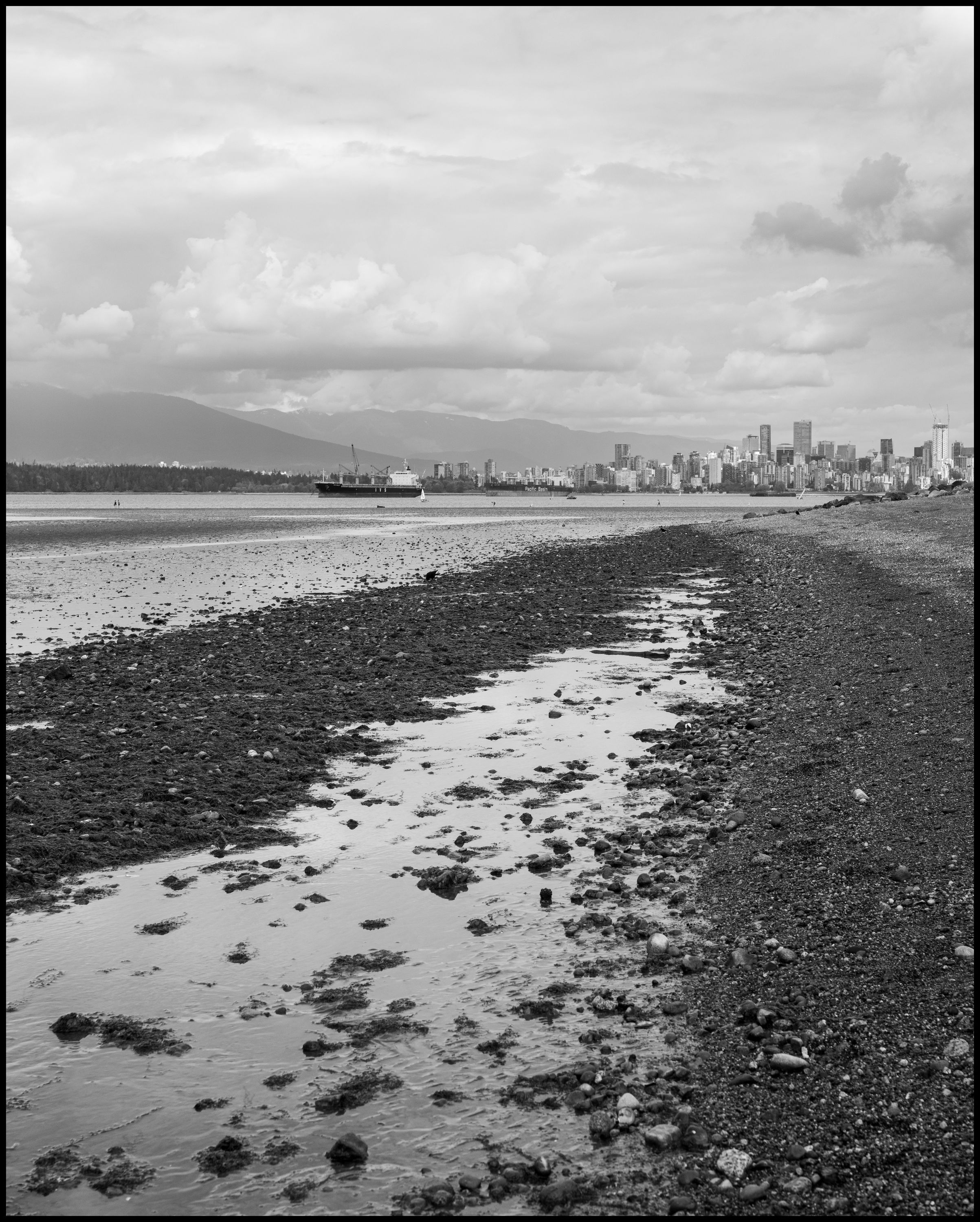 Intertidal Zone. Leica SL2 & Sigma 45mm f2.8