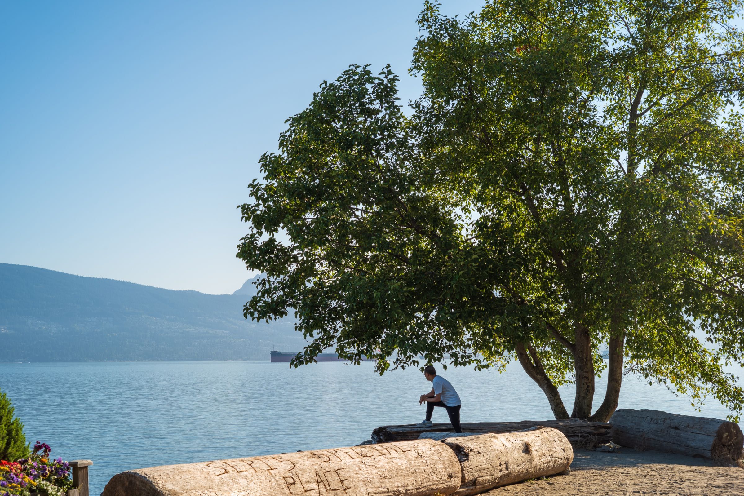 Jogger takes a scenic break