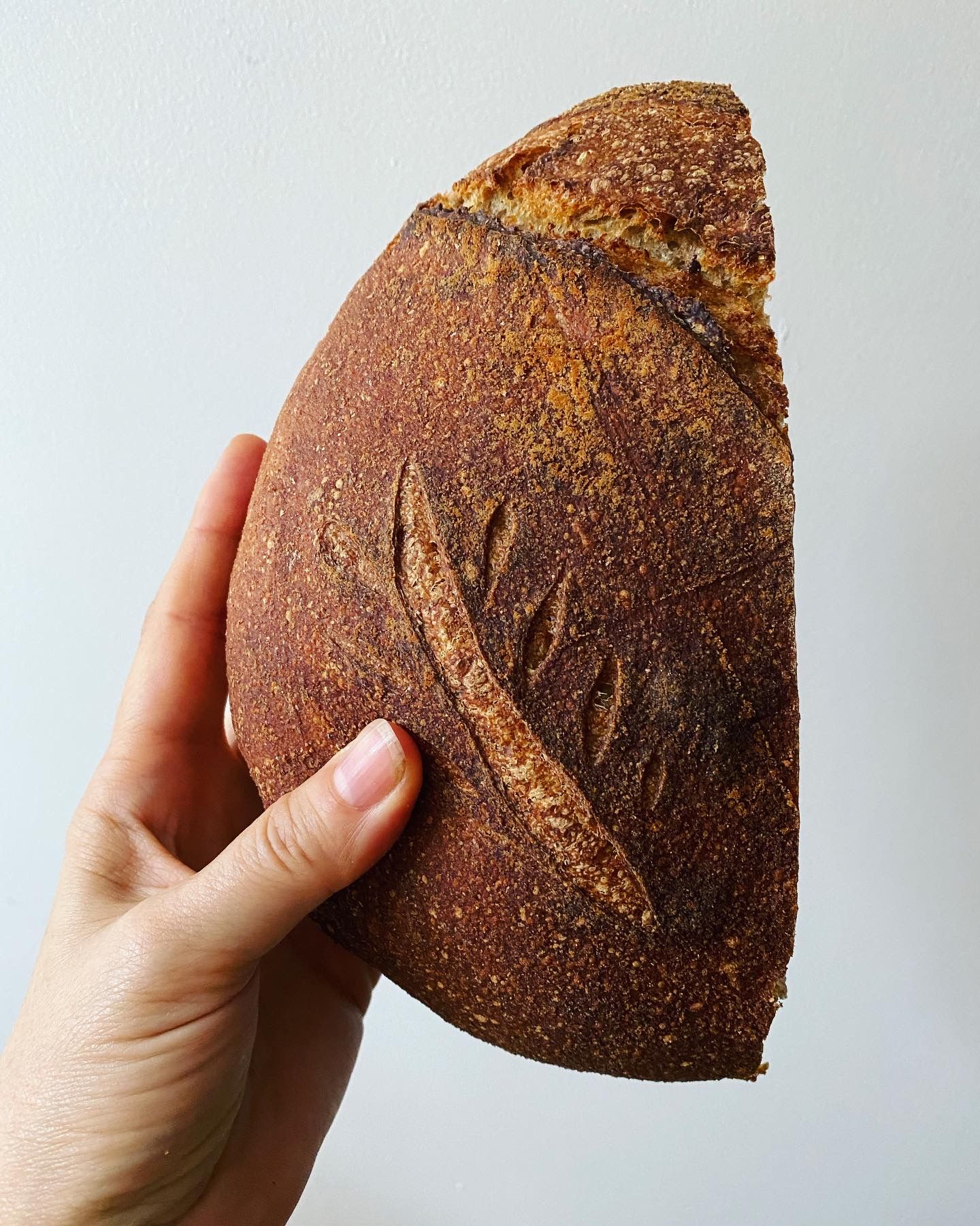 Half loaf