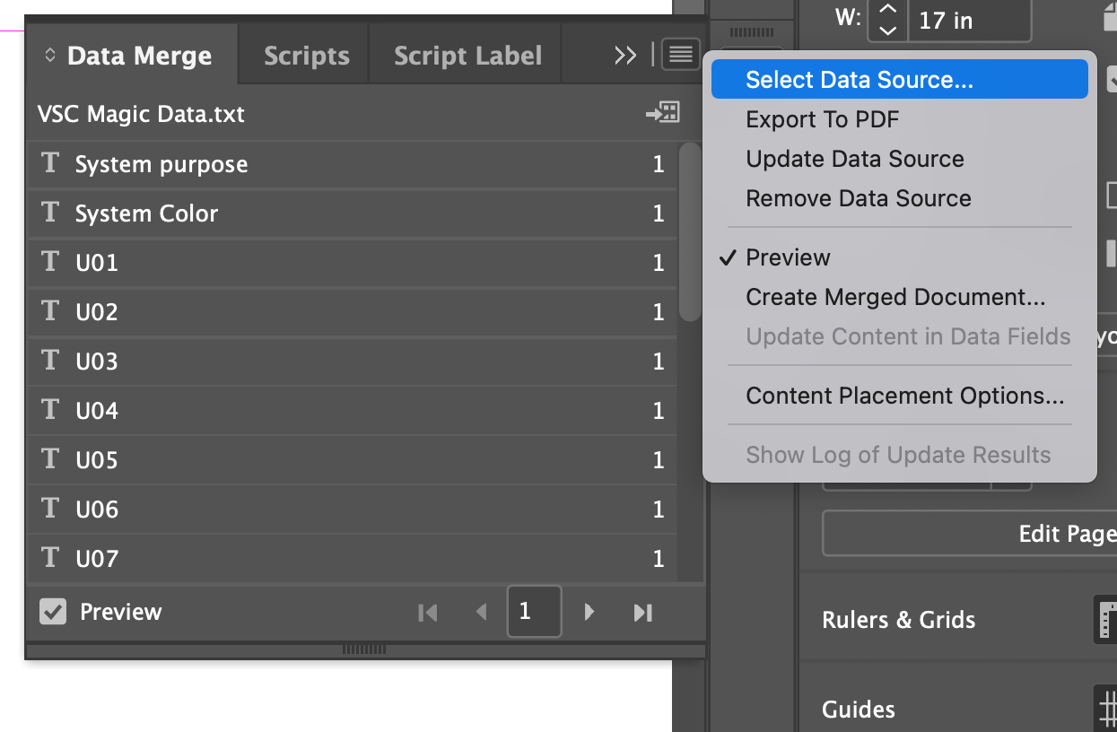 Data merge panel