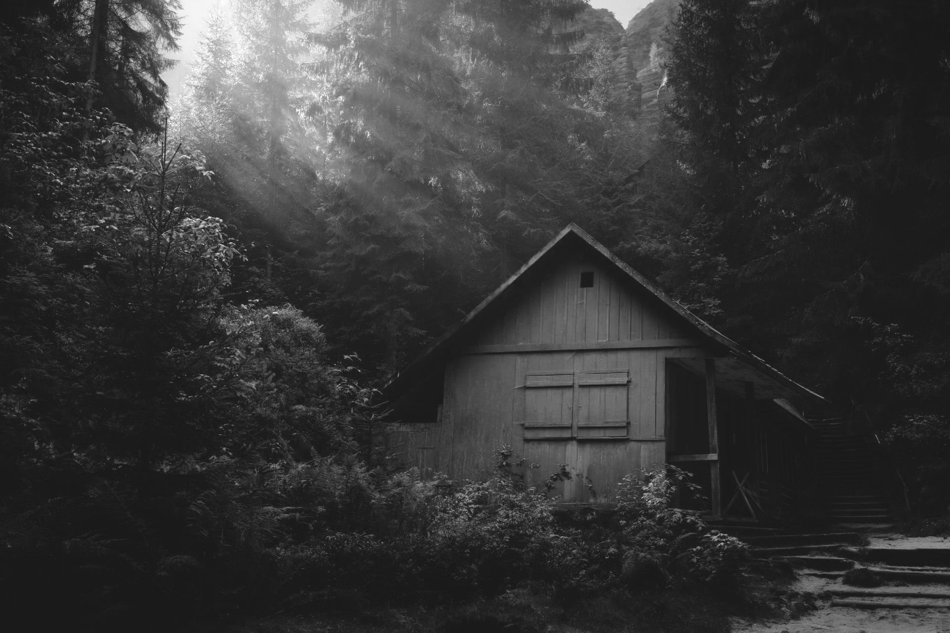 A small cavern sits deep in a forest