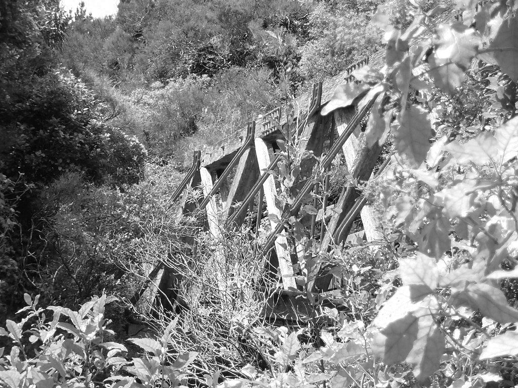 Howe Truss Bridge, a wooden structure embedded in trees and plants