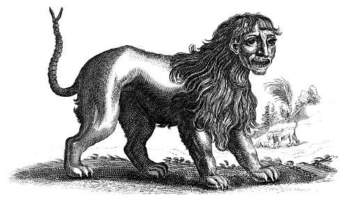 “The Manticore, or Martigora was described by Pliny and Aristotle as a creature with the face and ears of a human, with grey eyes and a red body; a tail with a sting like that of a scorpion, and being the size of a lion, and with a lion’s paws, a triple row of teeth and an appetite for human flesh.”