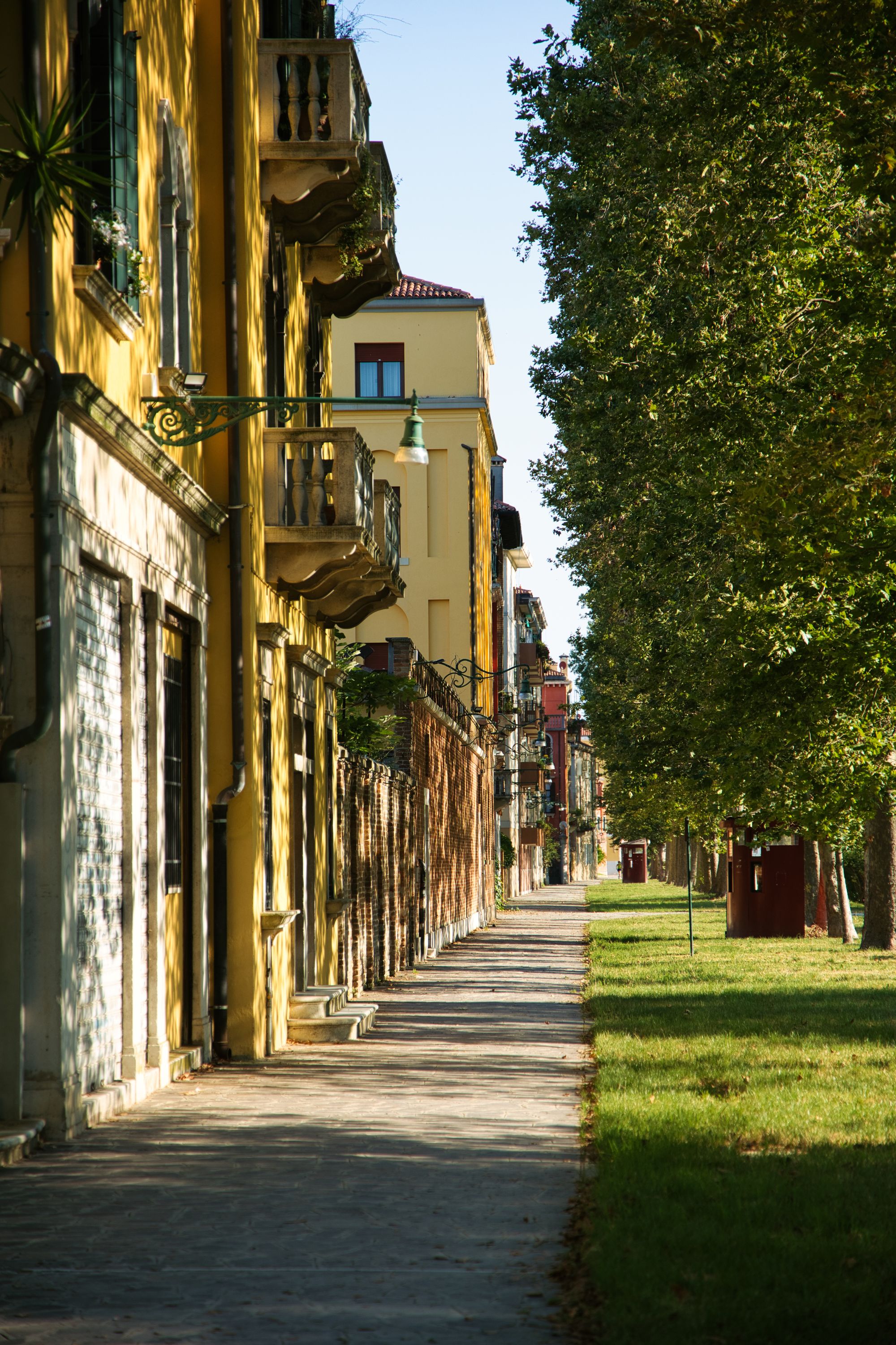 102 morning light at the tail of venice