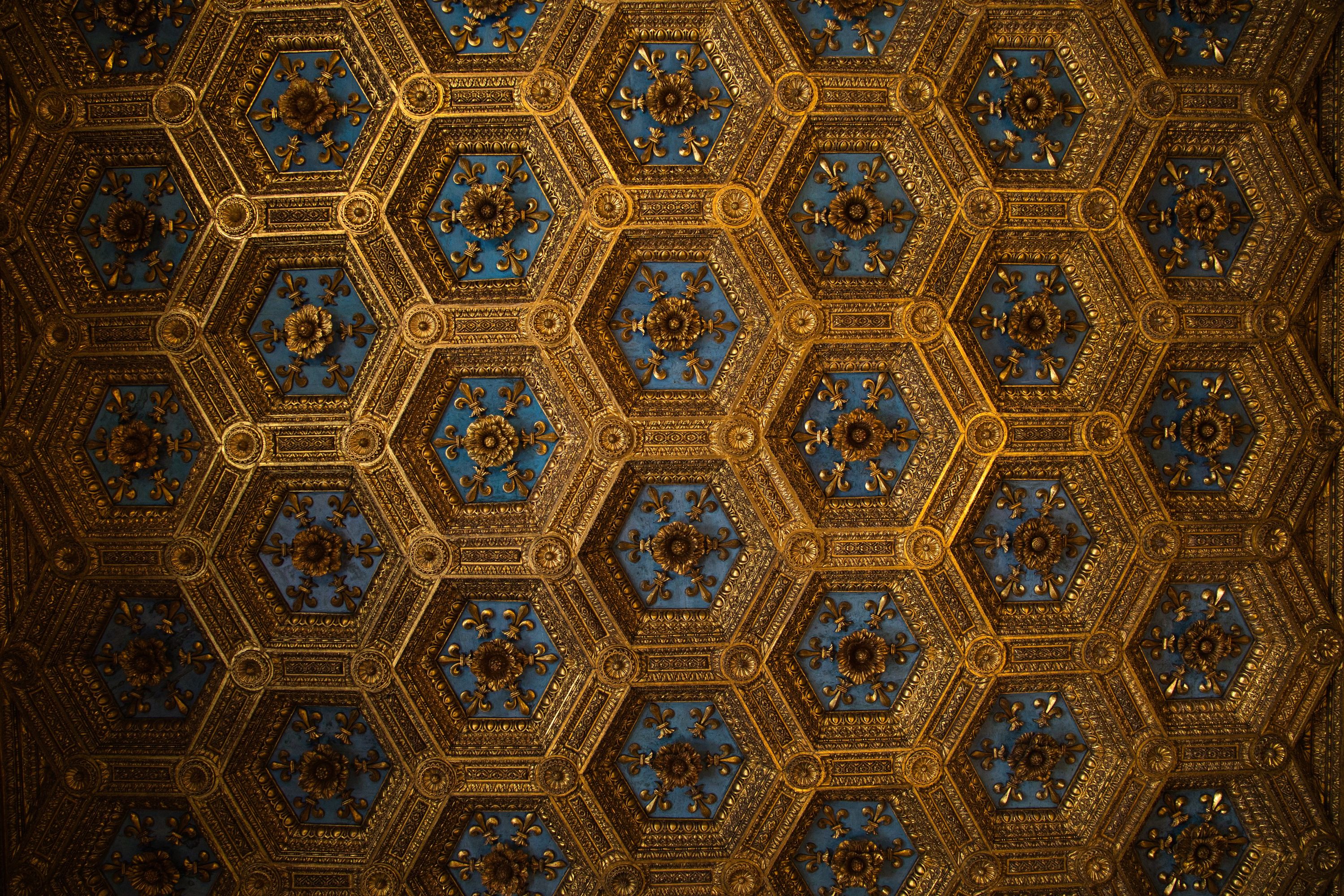 ornate florentian ceiling